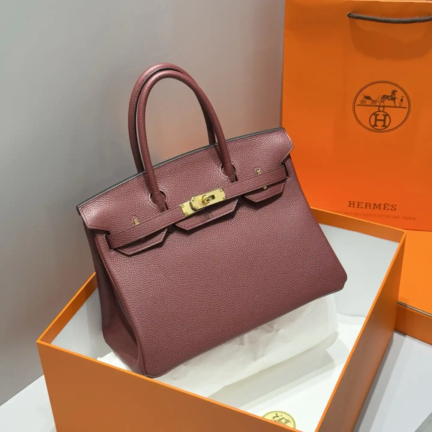 Togo Birkin 25