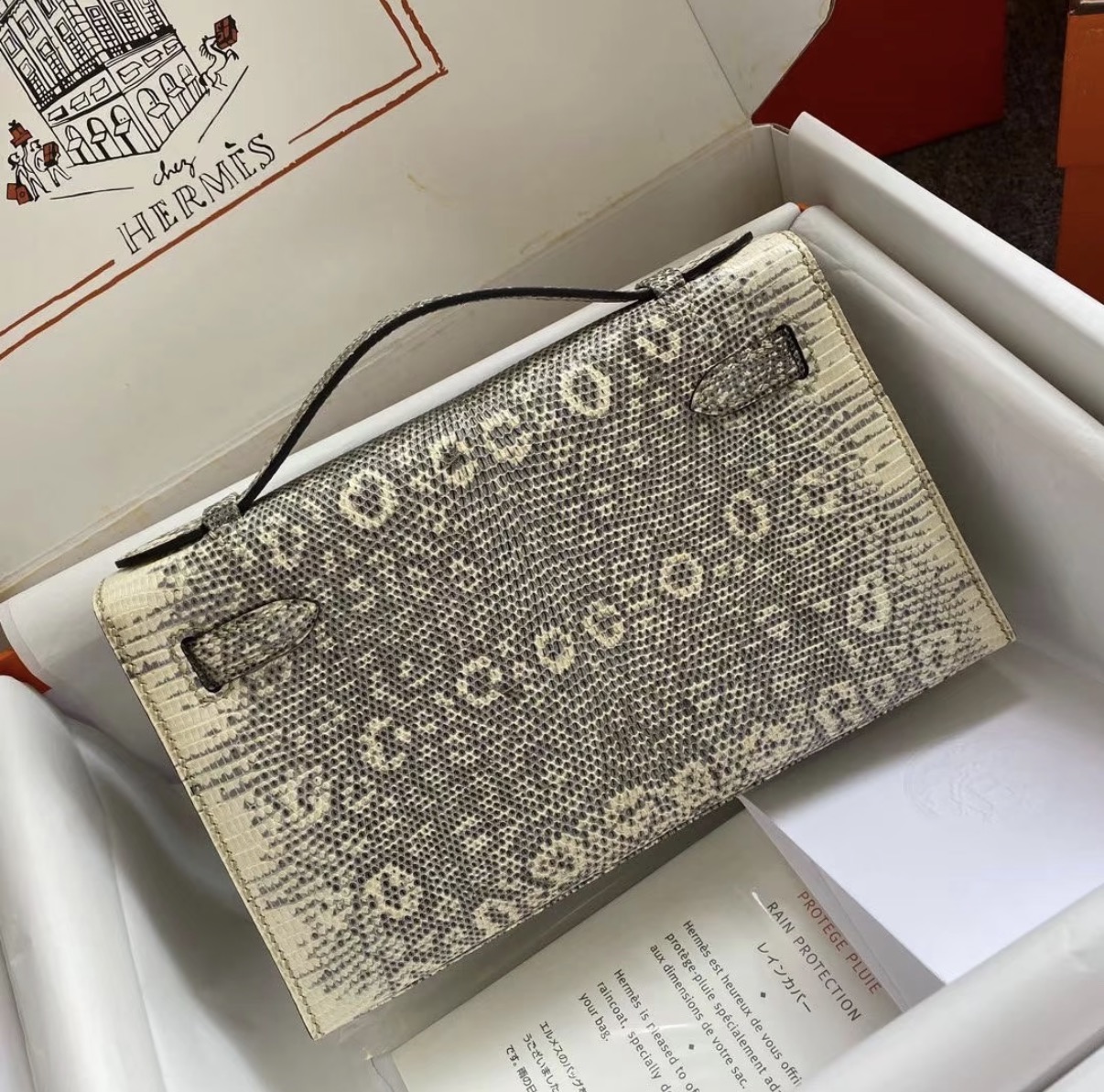 Kelly Pochette Ombre Lizard Leather Silver hardware Custom - MOVEMENTARTISAN