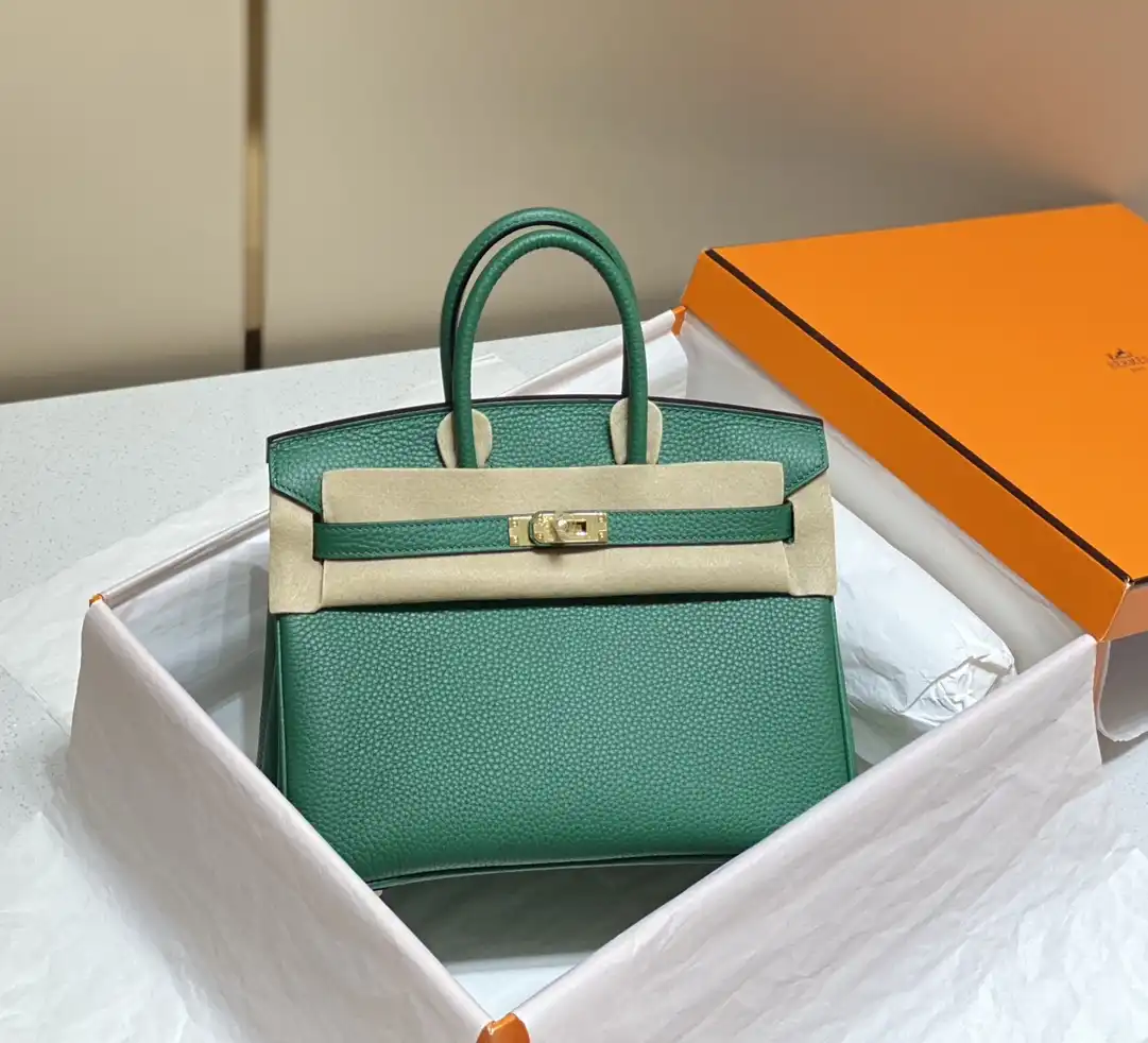Togo Birkin 25