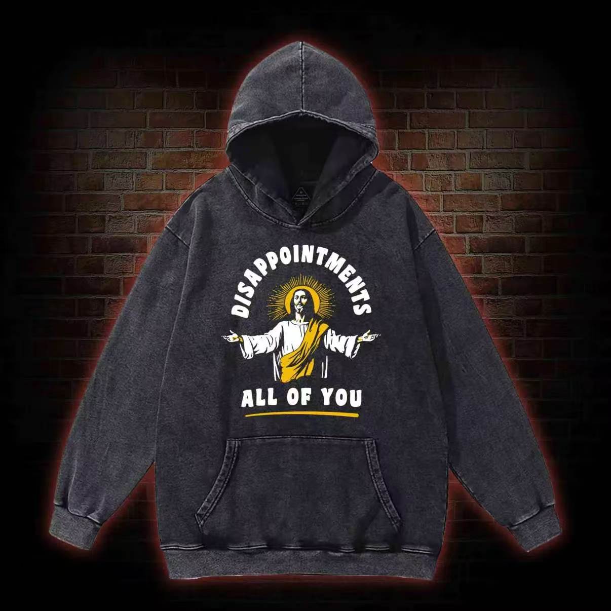 Disappointments All Of You Washed Hoodie
