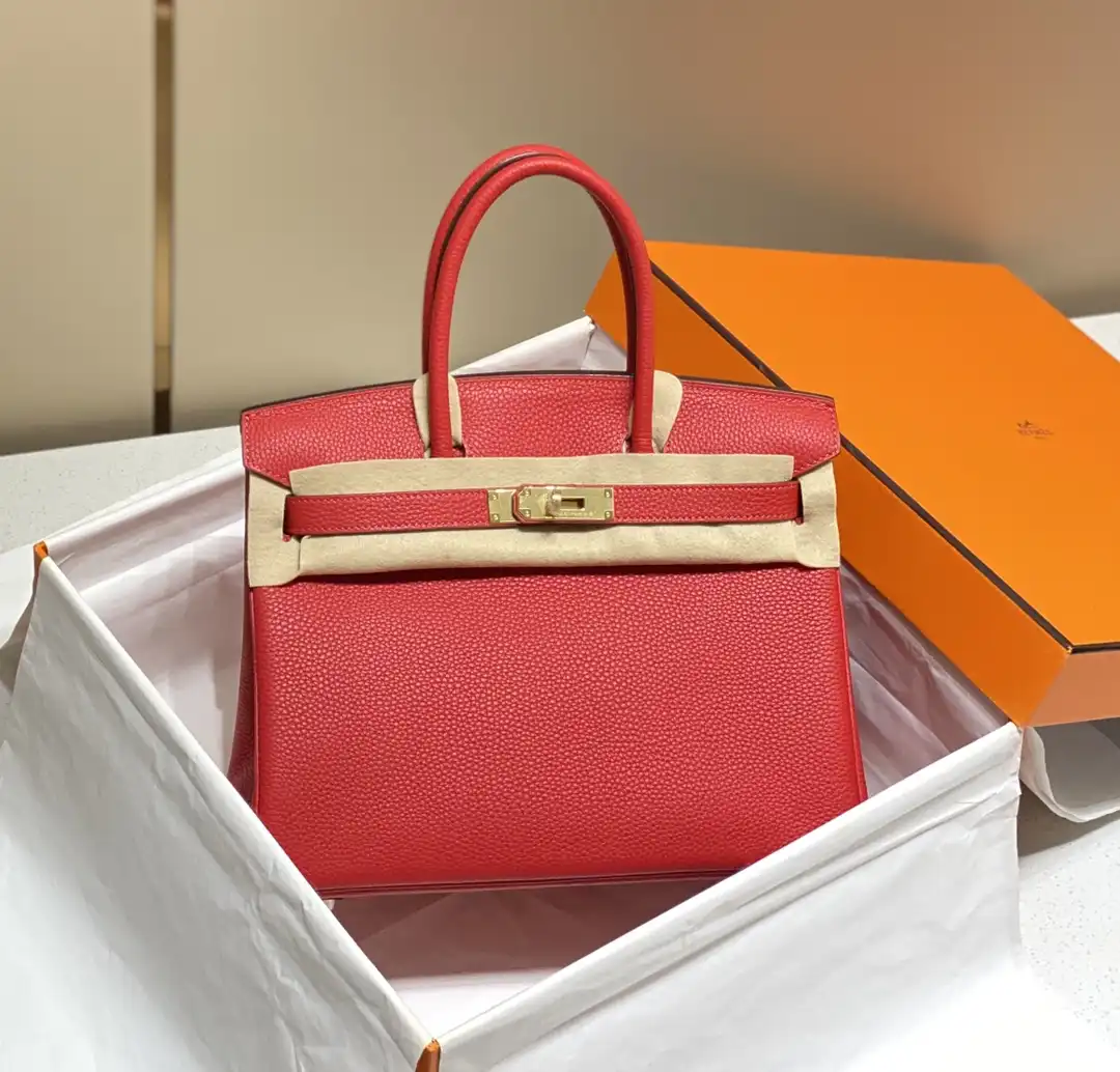 Togo Birkin 25