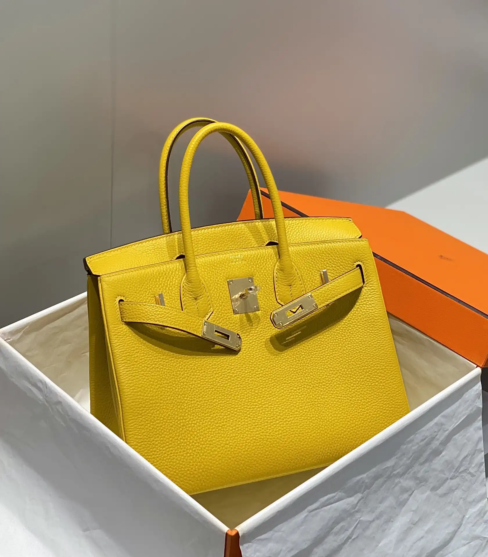 Togo Birkin 25