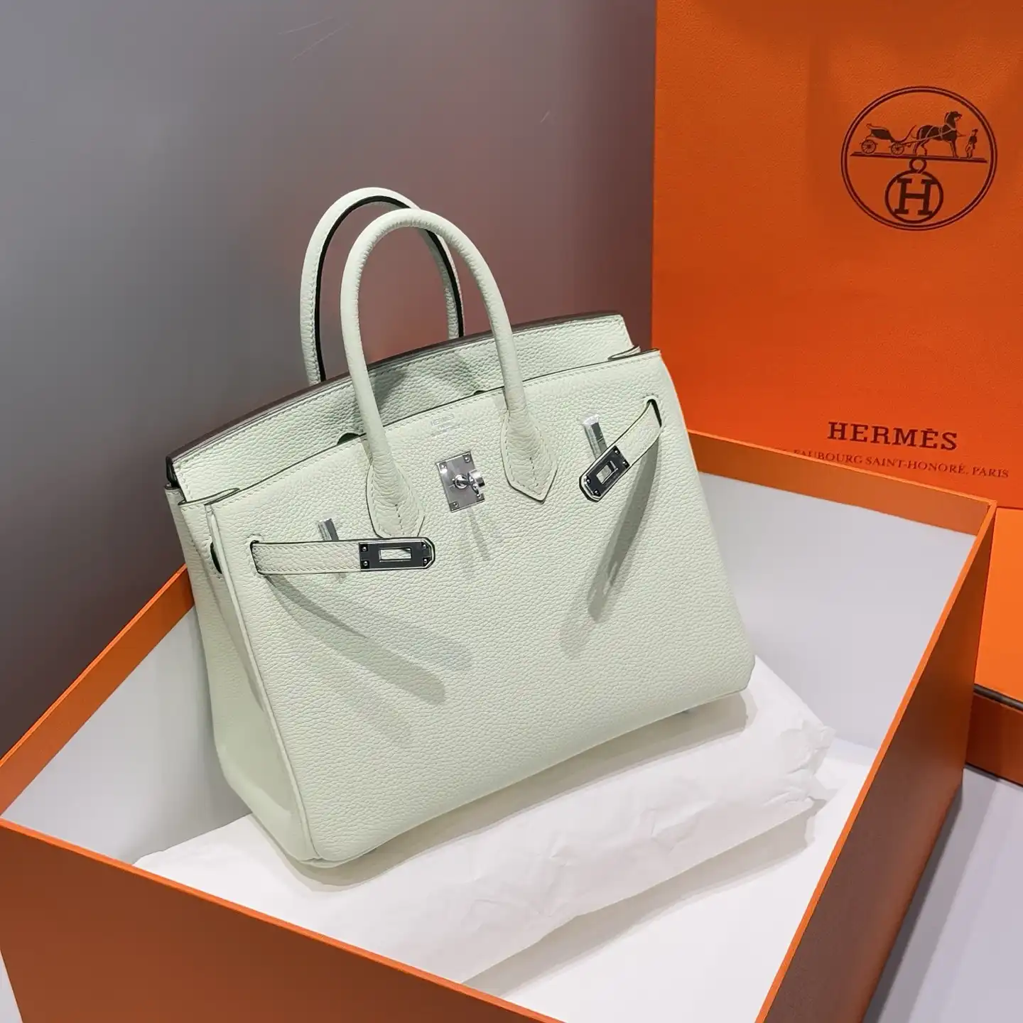 Birkin 25