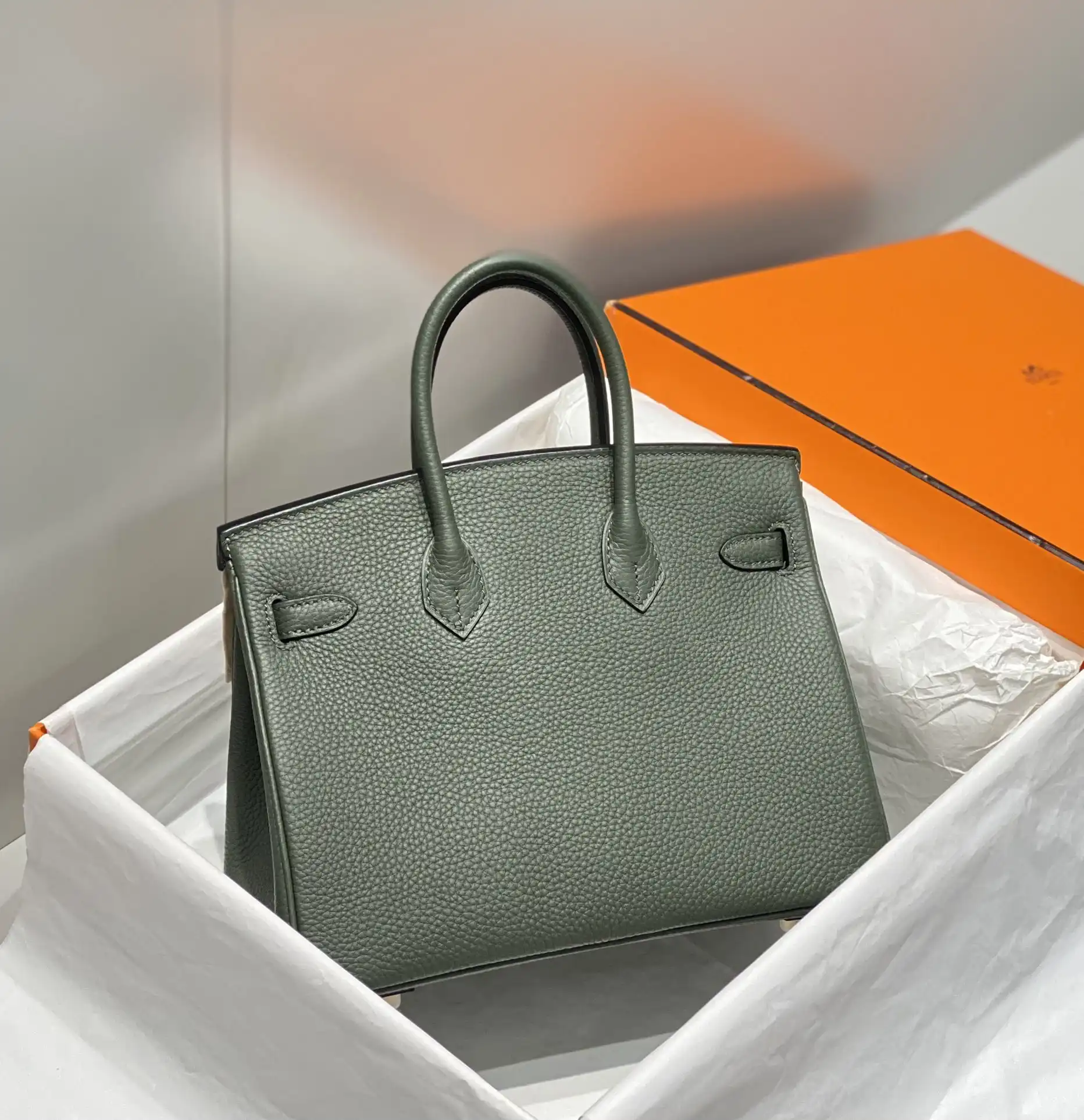 Birkin 25