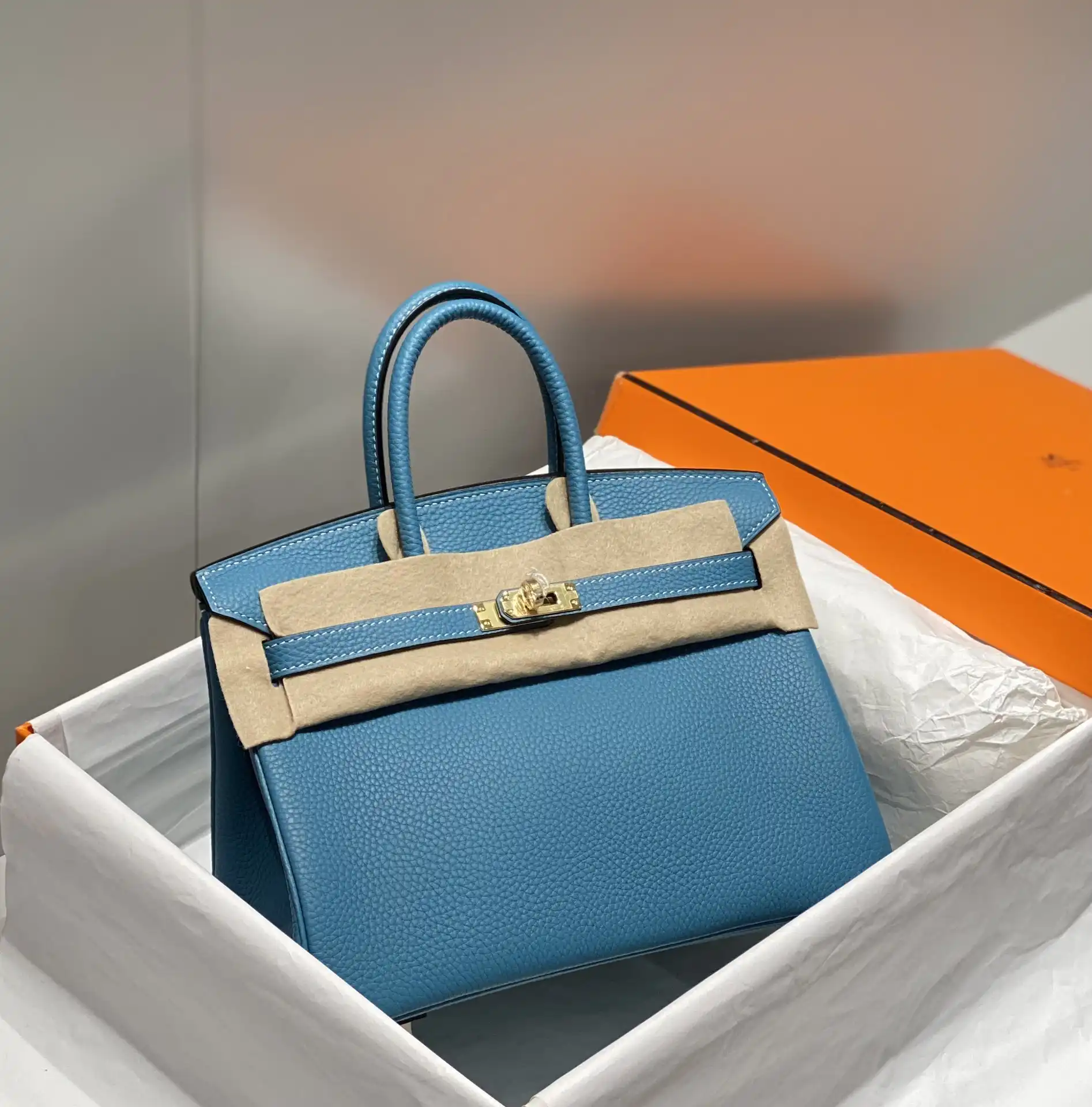 Togo Birkin 25