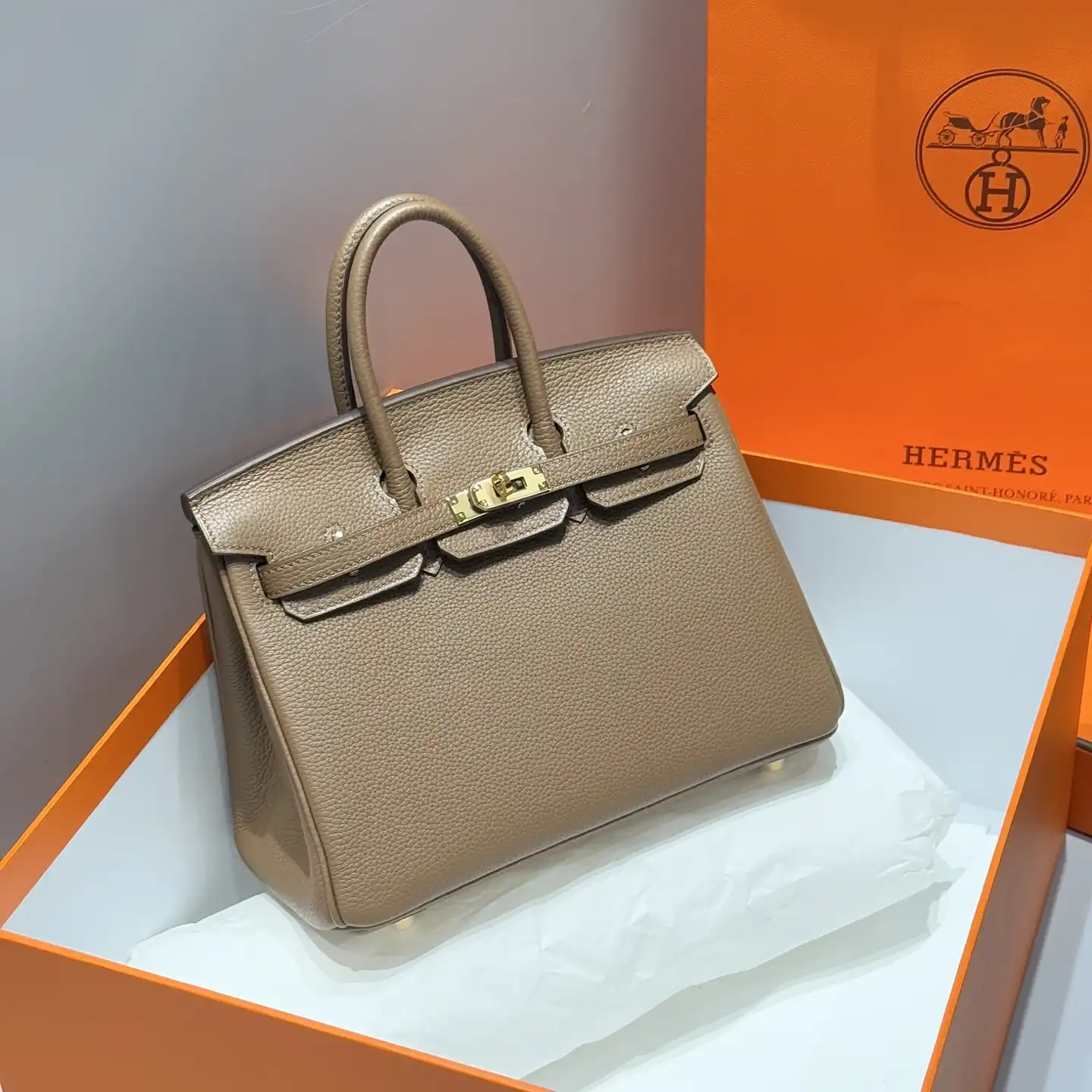 Togo Birkin 25