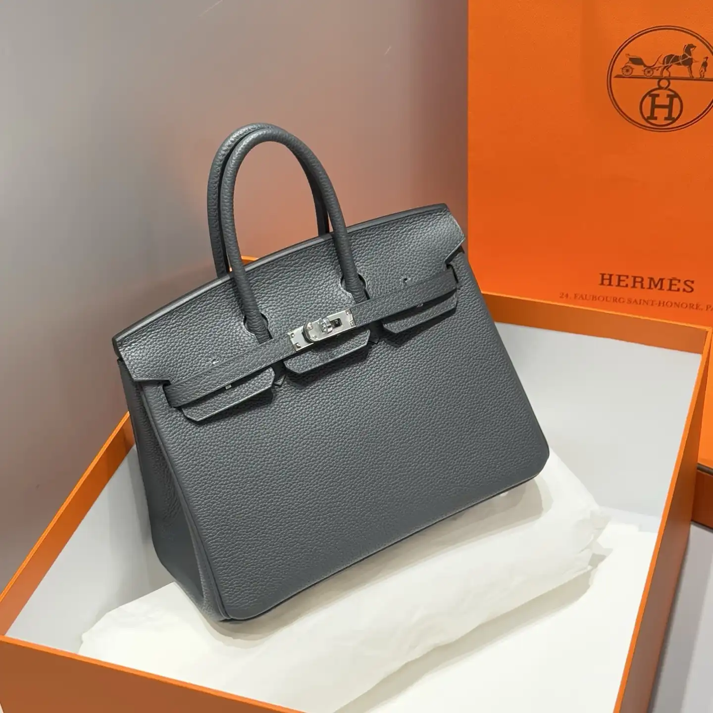 Togo Birkin 25