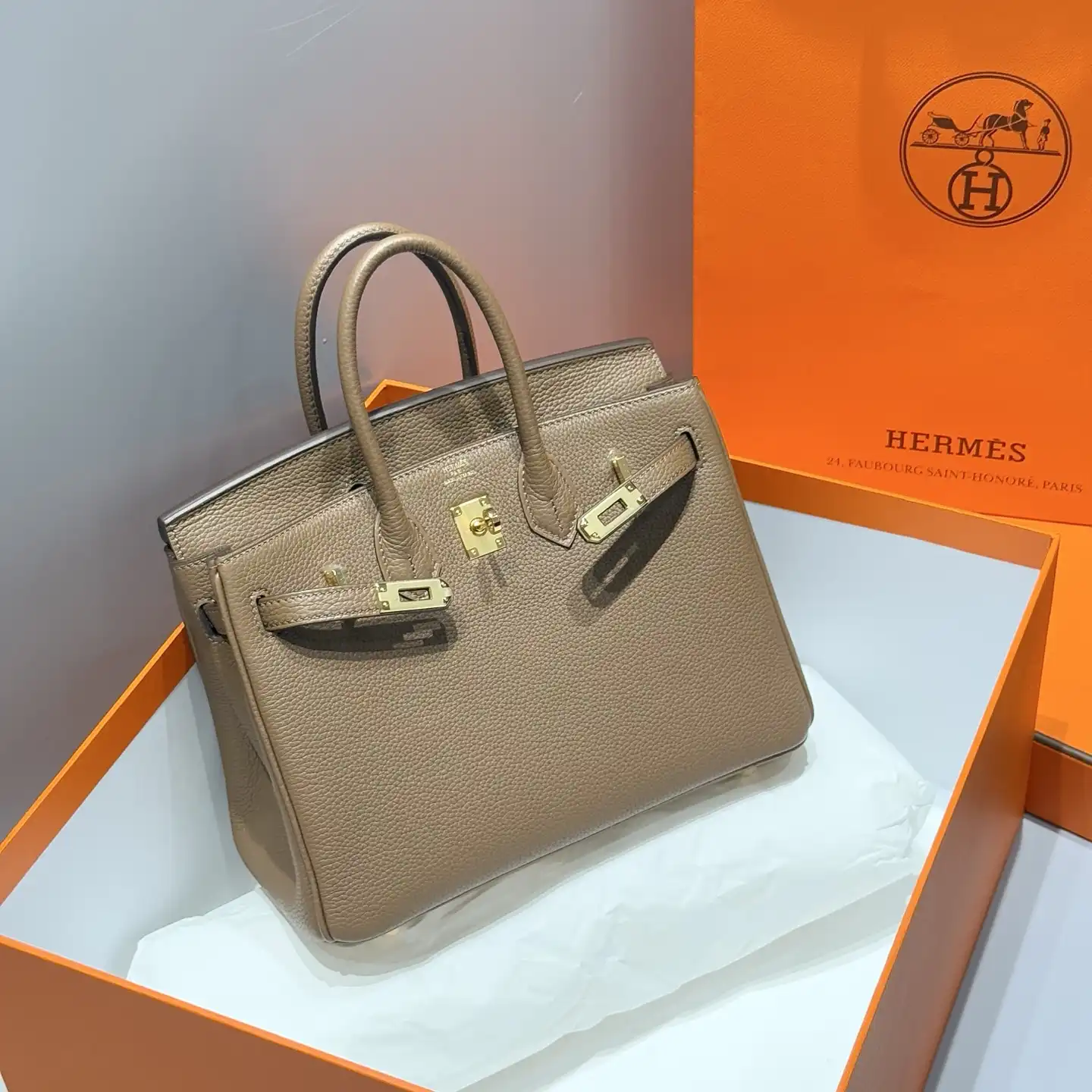 Togo Birkin 25