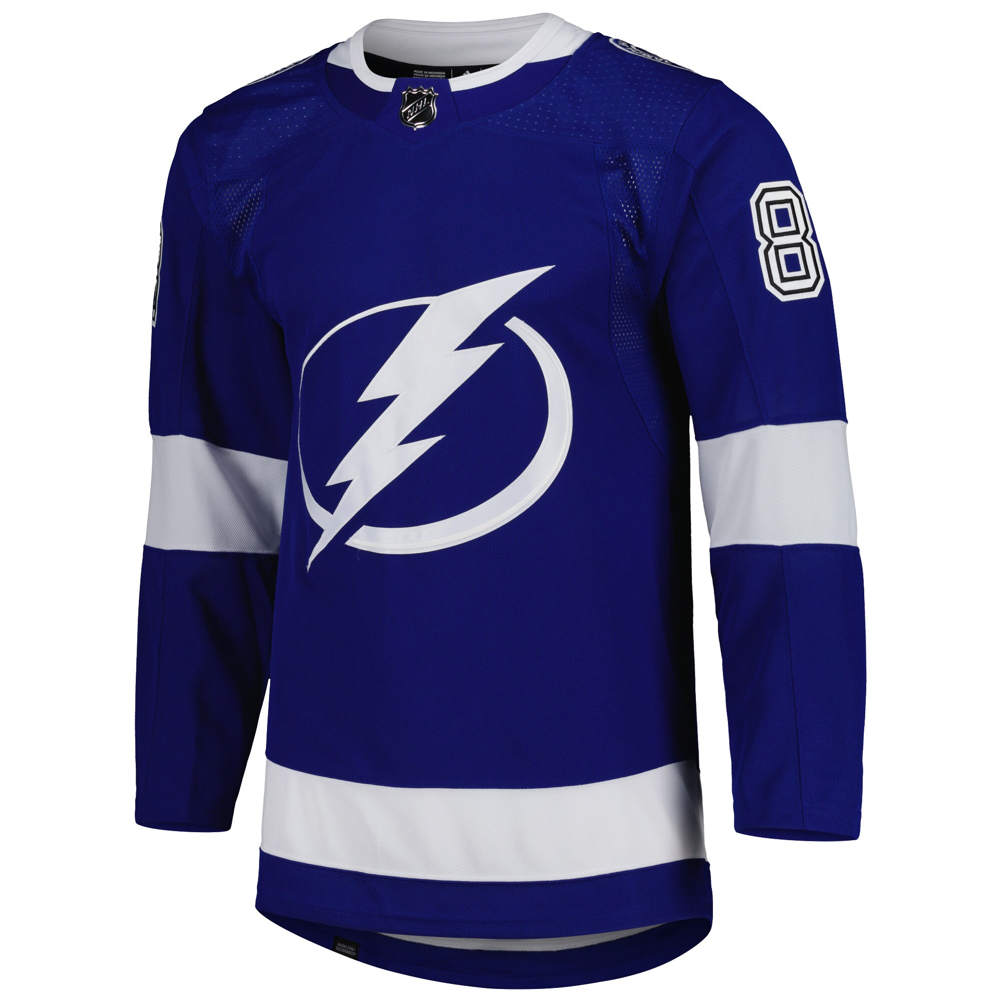 Andrei Vasilevskiy Tampa Bay Lightning adidas Primegreen Authentic Player Jersey - Blue