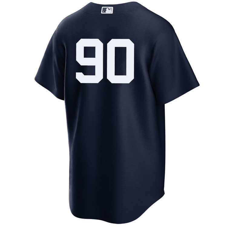Jorbit Vivas New York Yankees Alternate Navy Player World Series Jersey