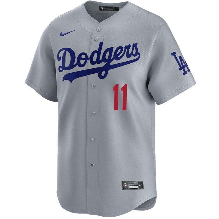 Roki Sasaki Los Angeles Dodgers Alternate Road Limited Jersey