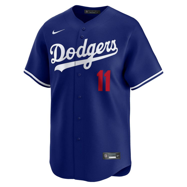 Roki Sasaki Kanji Los Angeles Dodgers Alternate Royal Limited Jersey