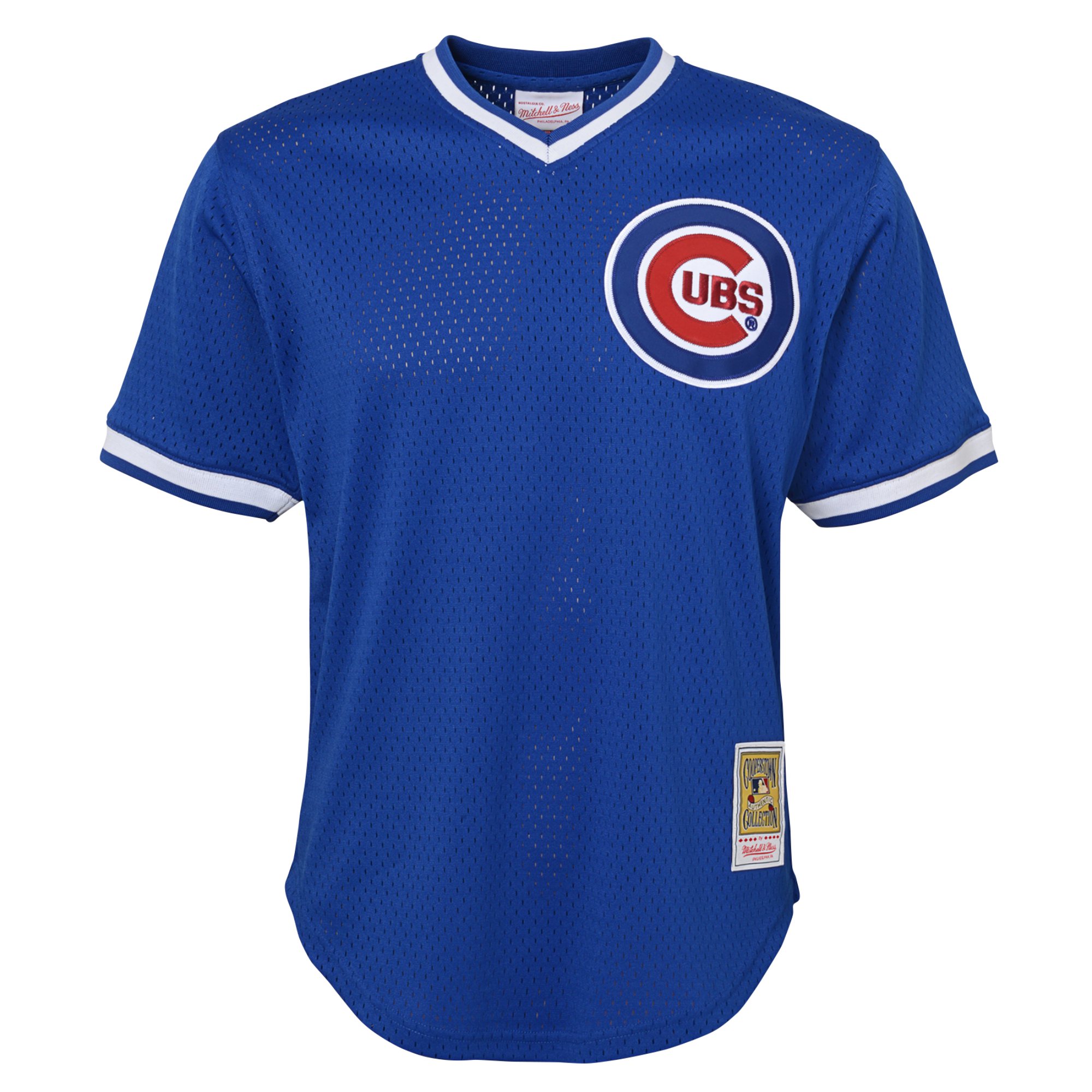Ryne Sandberg Chicago Cubs Mitchell & Ness Youth Cooperstown CollectionMesh Batting Practice Jersey - Royal