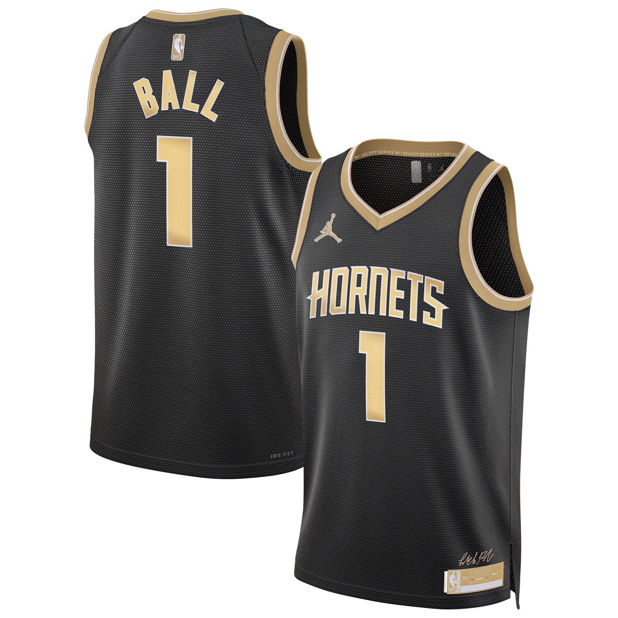 LaMelo Ball Charlotte Hornets Jordan Brand Unisex Select Series Swingman Jersey Black