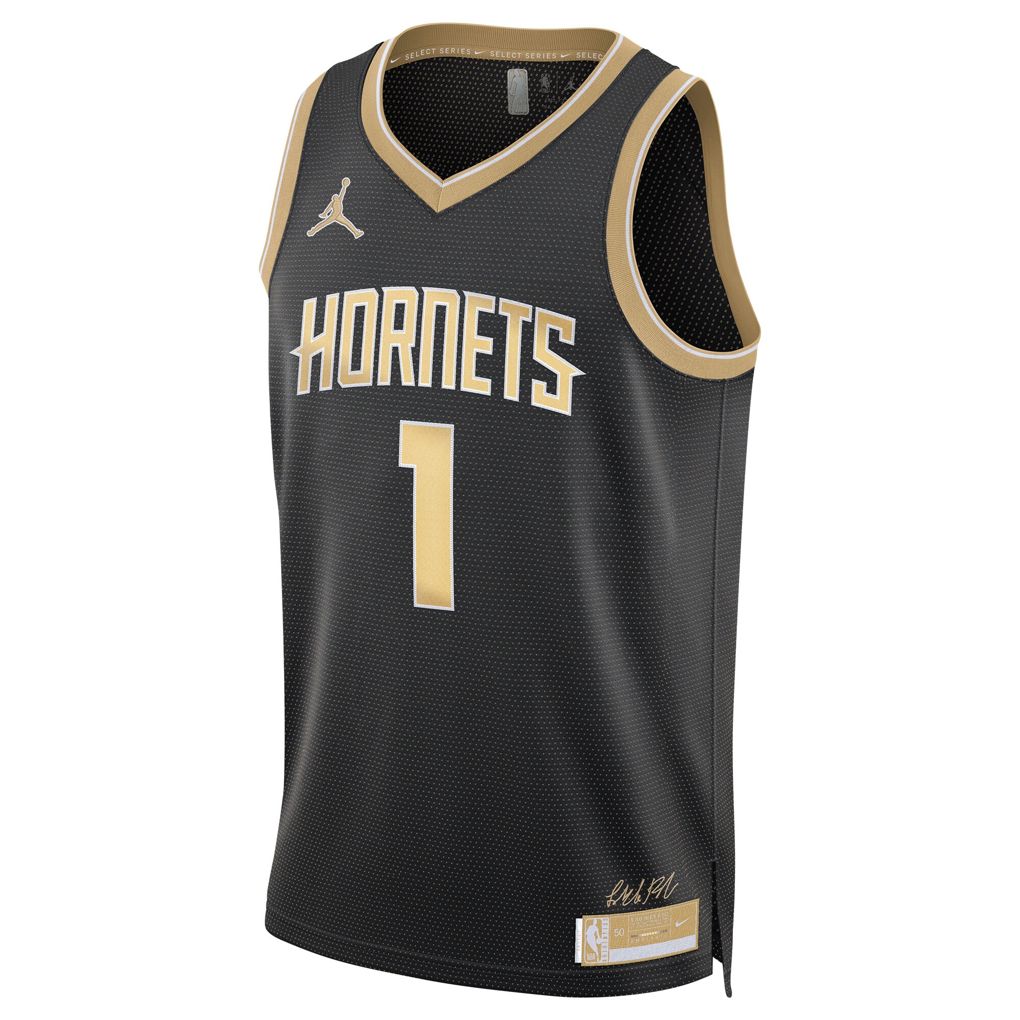 LaMelo Ball Charlotte Hornets Jordan Brand Unisex Select Series Swingman Jersey Black