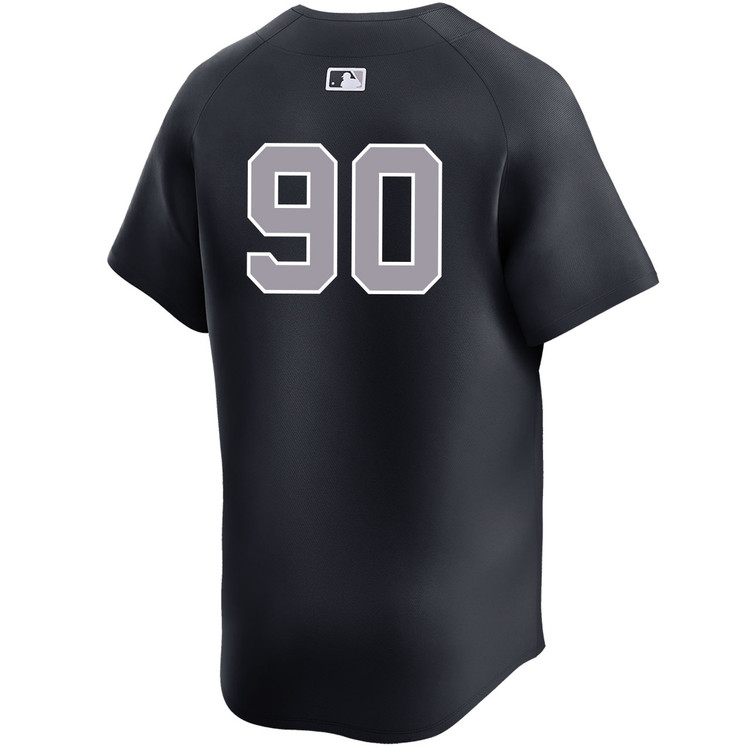 Jorbit Vivas New York Yankees Alternate Road Limited Player World Series Jersey
