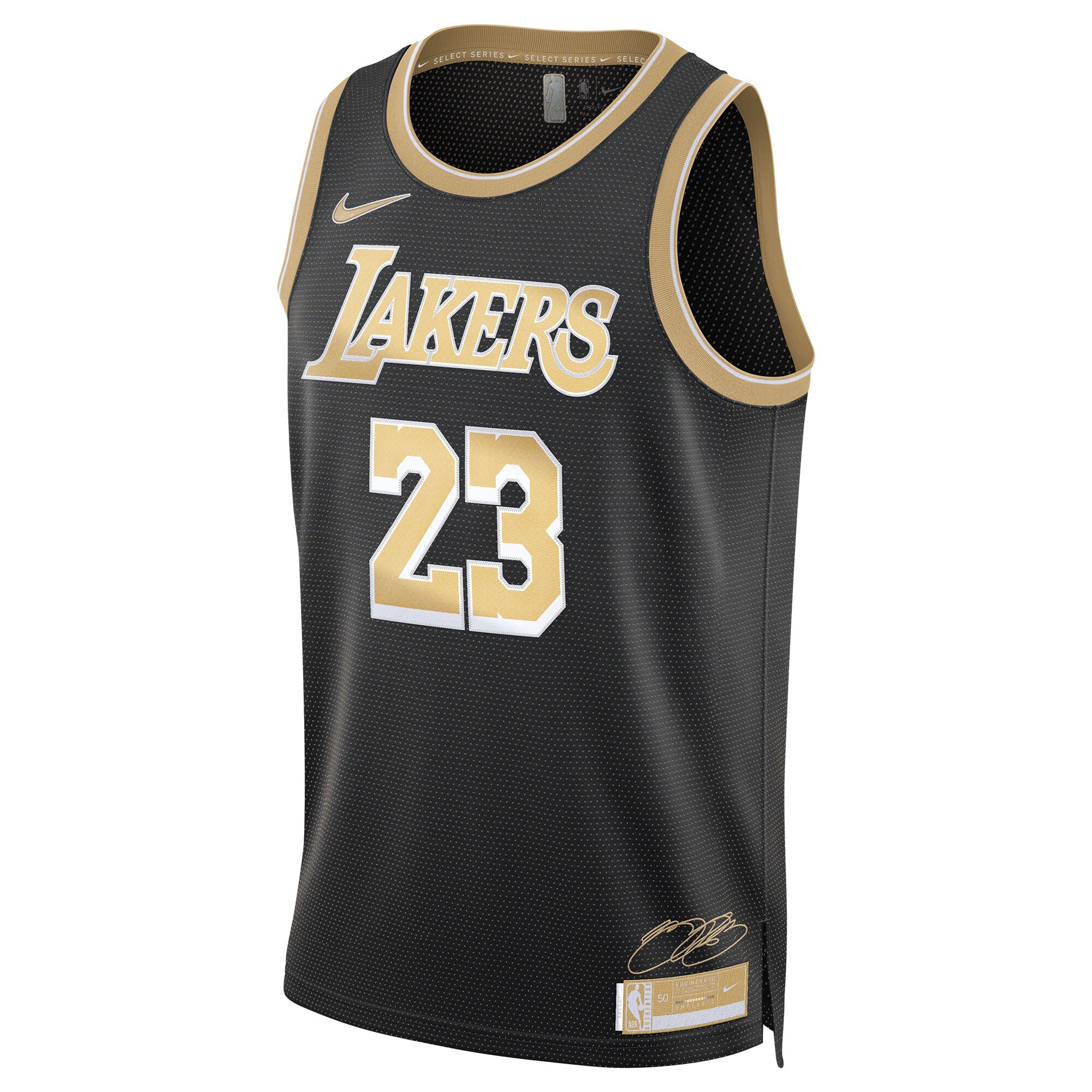 LeBron James Los Angeles Lakers Unisex Select Series Swingman Jersey Black