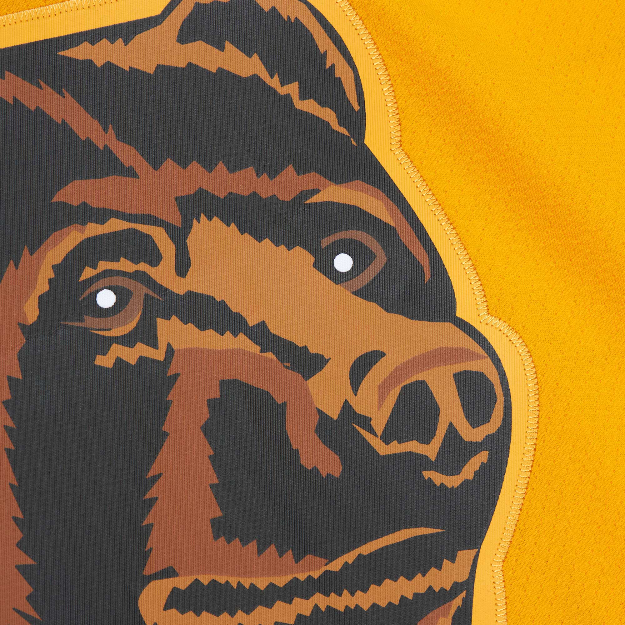 Ray Bourque Boston Bruins Mitchell & Ness  1996\/97 Captain Patch Blue Line Player Jersey - Gold