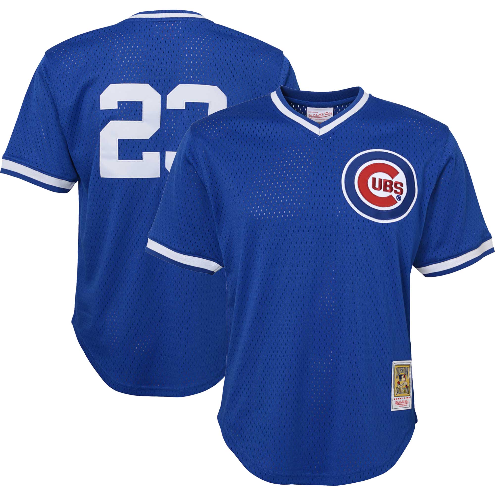 Ryne Sandberg Chicago Cubs Mitchell & Ness Youth Cooperstown CollectionMesh Batting Practice Jersey - Royal