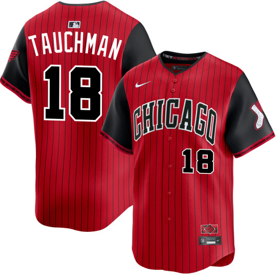 Mike Tauchman Chicago White Sox City Connect 2.0 Limited Jersey