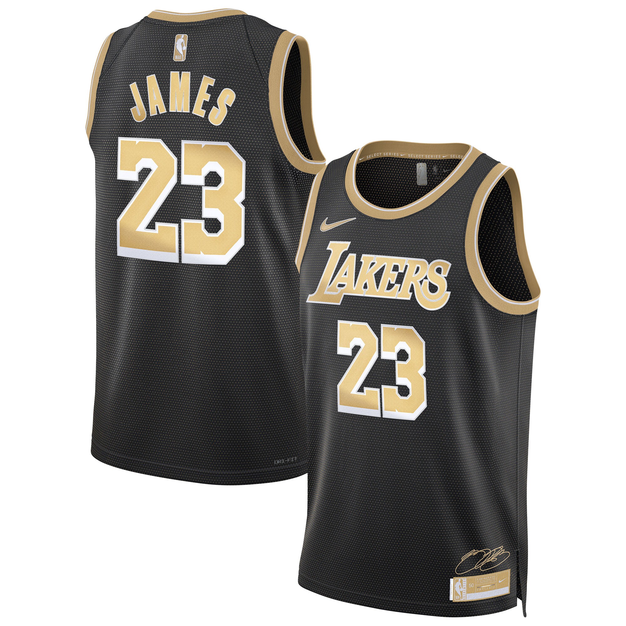 LeBron James Los Angeles Lakers Unisex Select Series Swingman Jersey Black