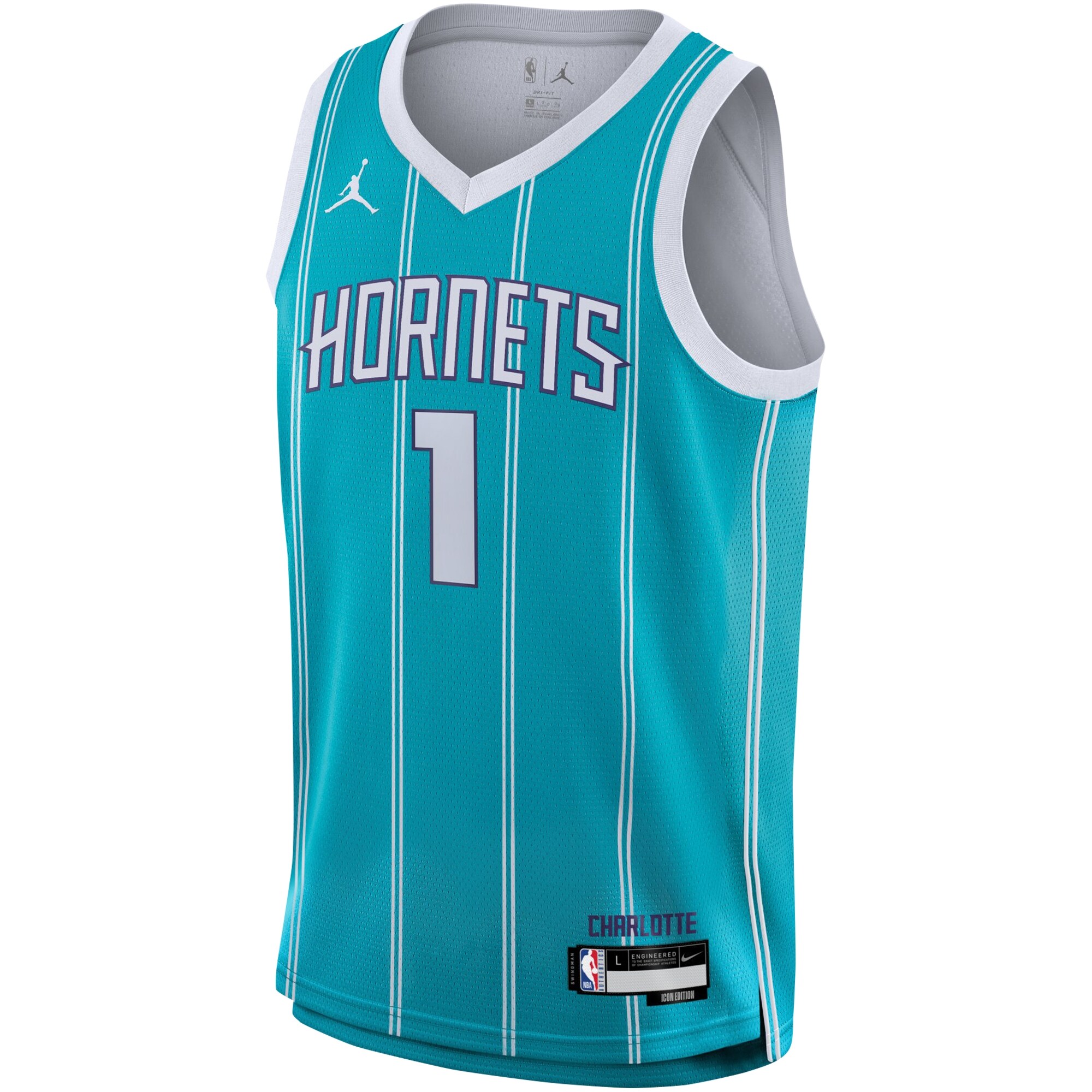 LaMelo Ball Charlotte Hornets Youth Swingman Jersey - Icon Edition - Teal