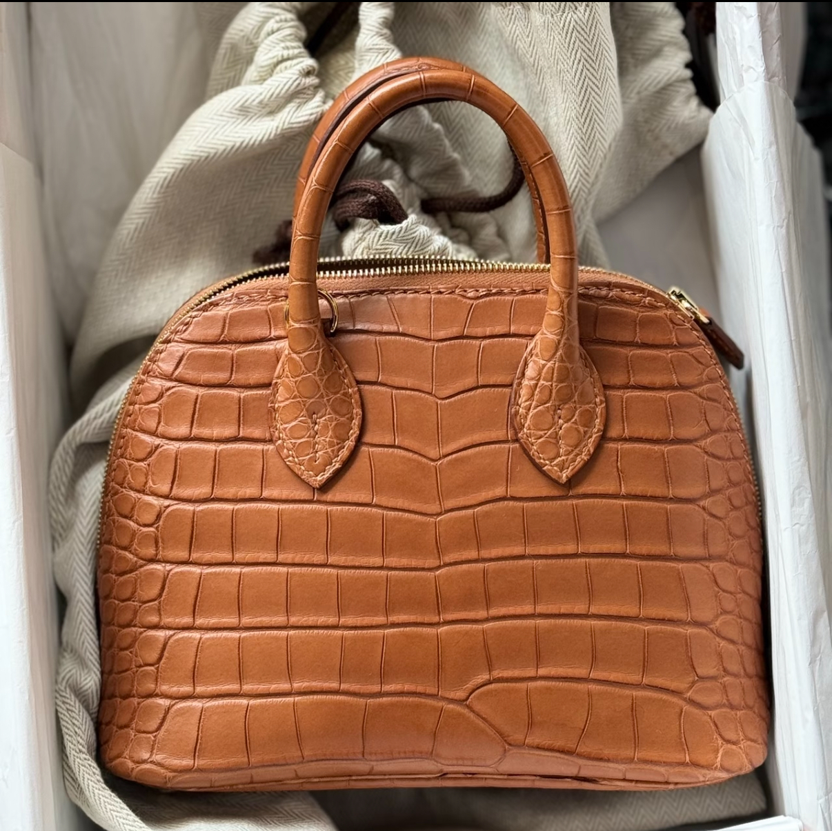 Bolide Mini 18CM Matte crocodile leather brown - MOVEMENTARTISAN