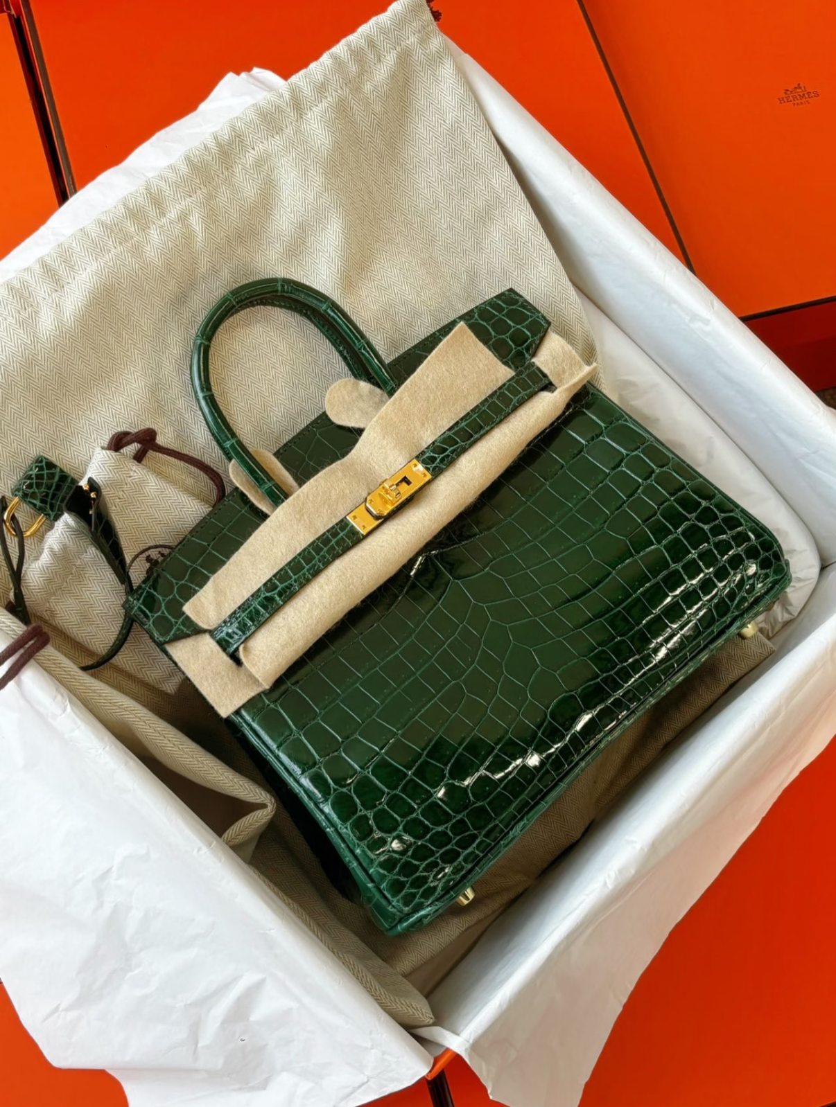 Birkin 25-35 Emerald Bay Crocodile Leather - MOVEMENTARTISAN