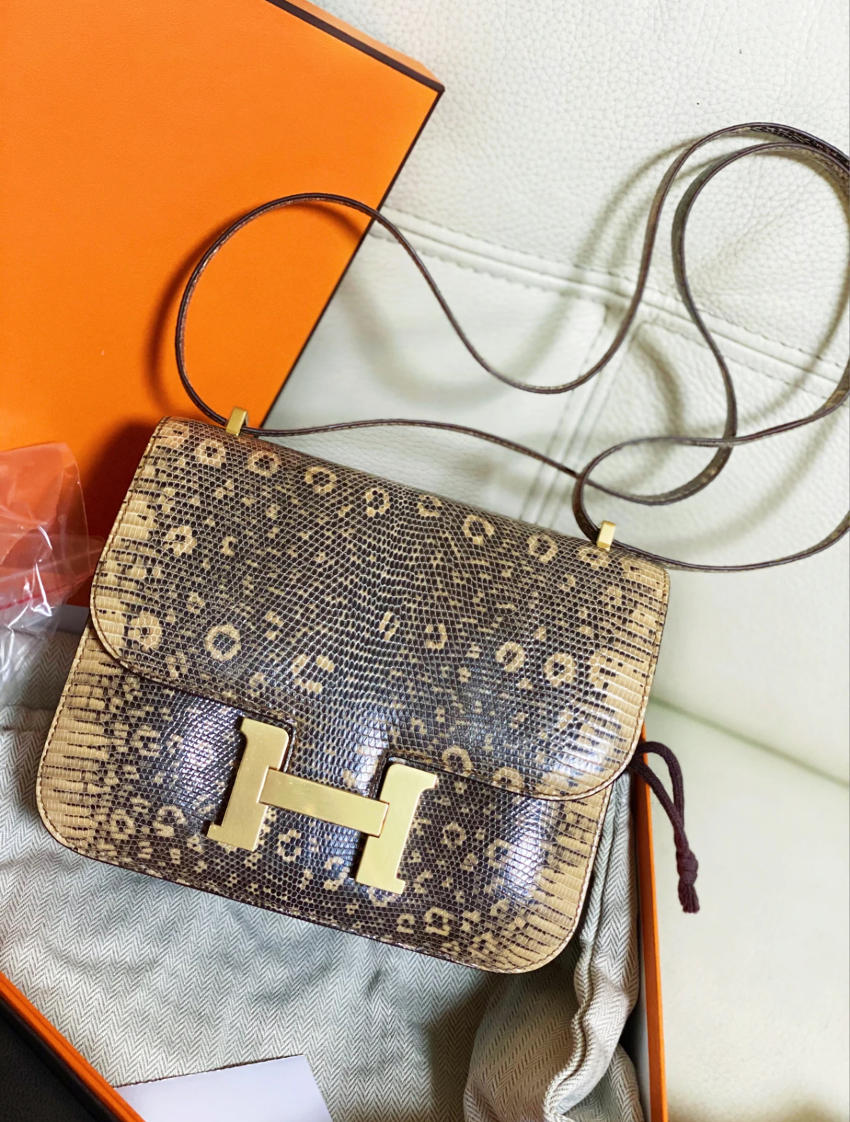 Constance 24 Lizard Leather Custom - MOVEMENTARTISAN