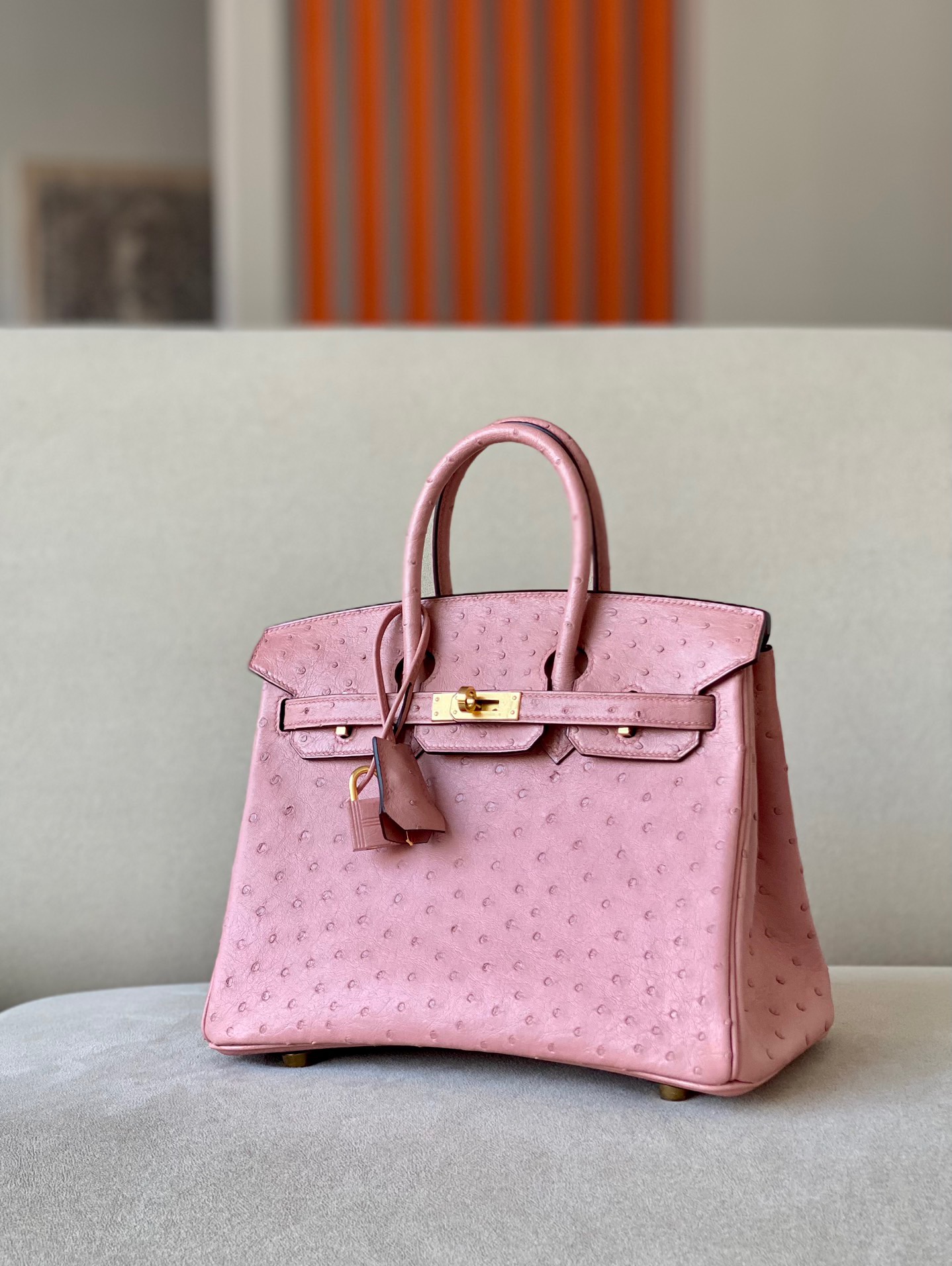 Advanced customization Birkin 25-30 Ostrich skin - MOVEMENTARTISAN