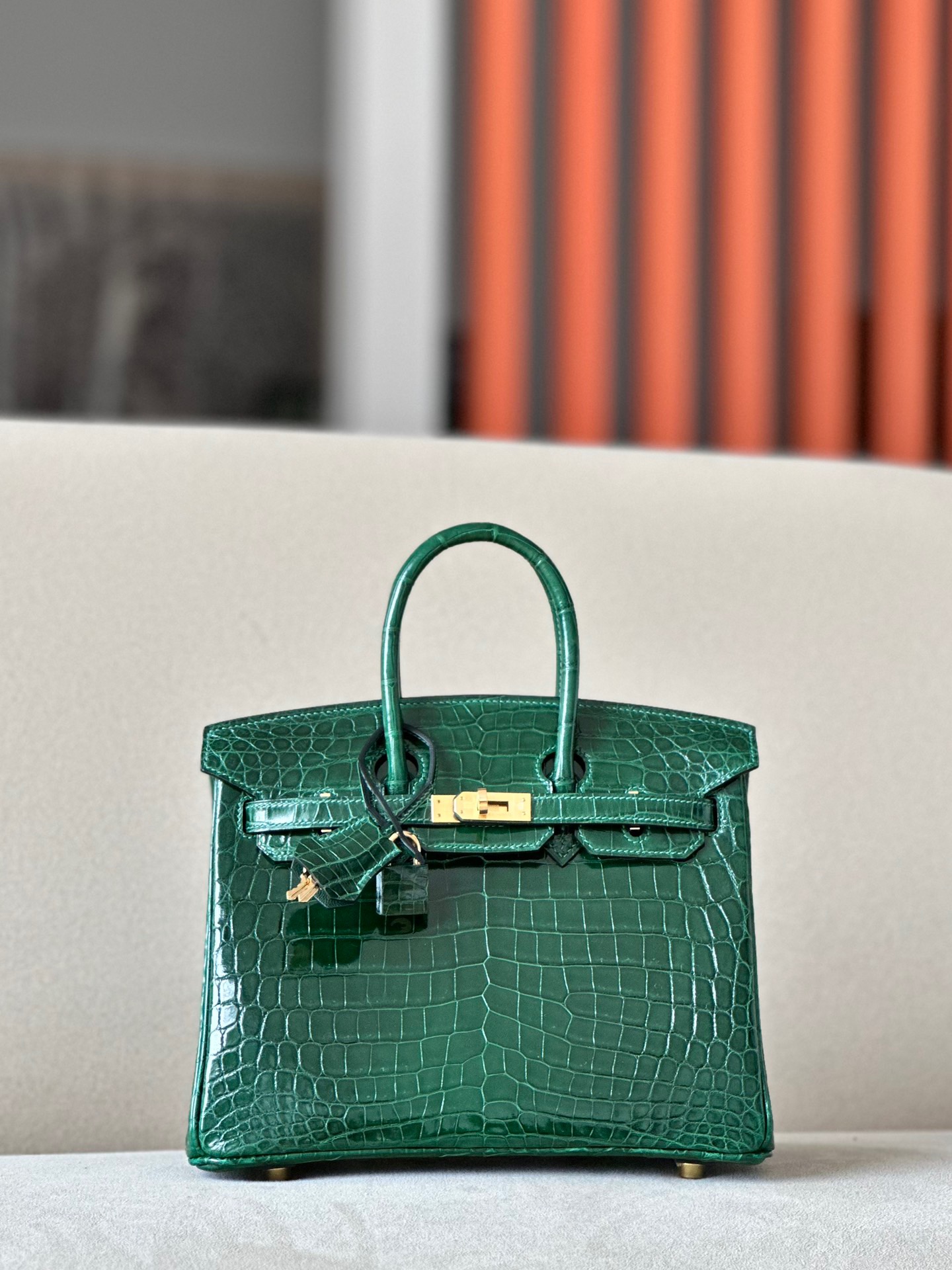 Advanced customization Birkin 25-30 crocodile skin crocodile skin - MOVEMENTARTISAN