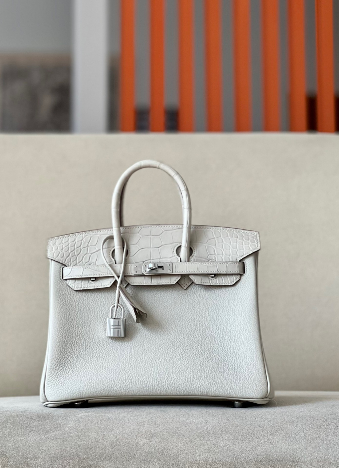 Advanced customization Birkin 25 crocodile skin - MOVEMENTARTISAN