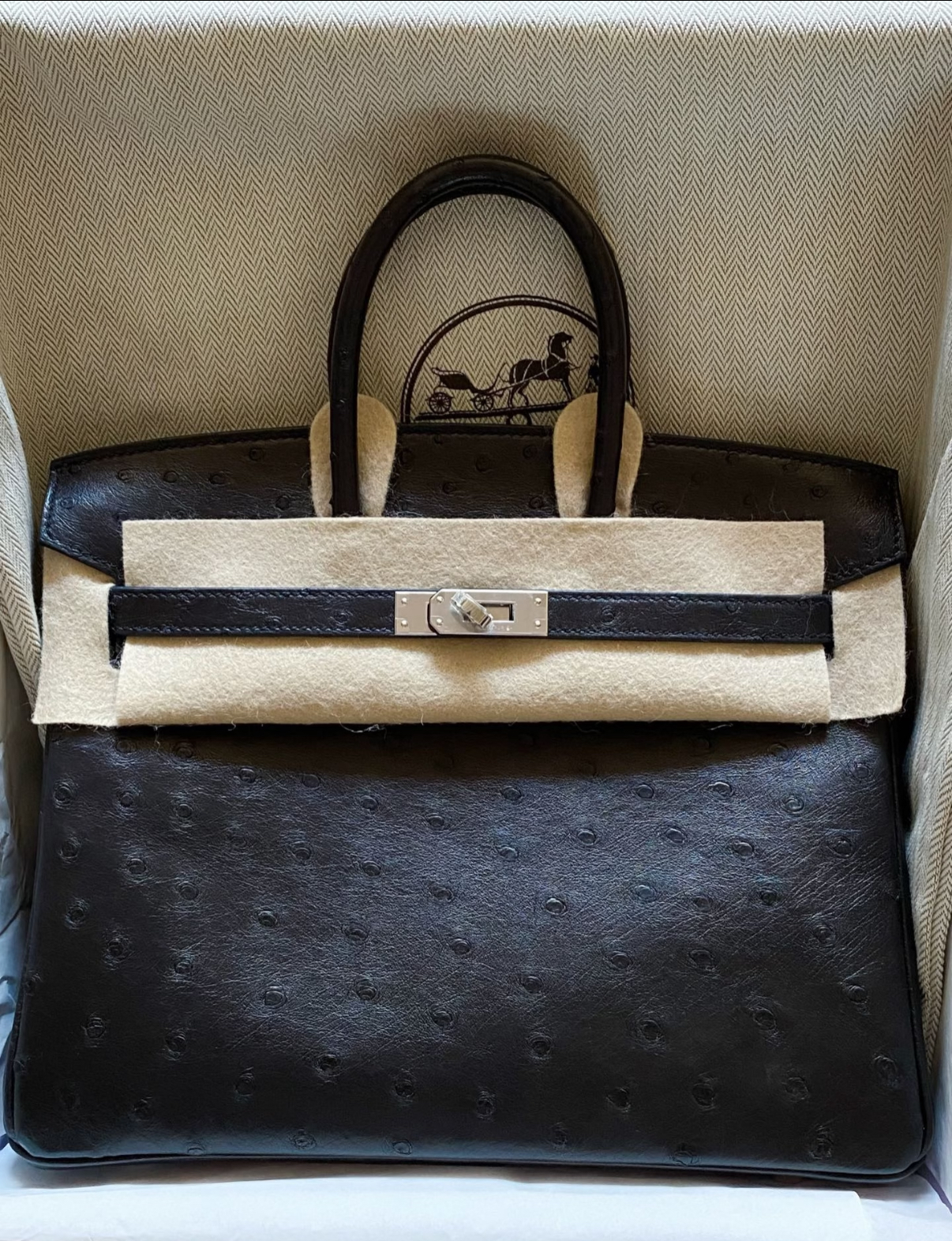 Birkin 25-35 silver buckle custom Ostrich leather - MOVEMENTARTISAN