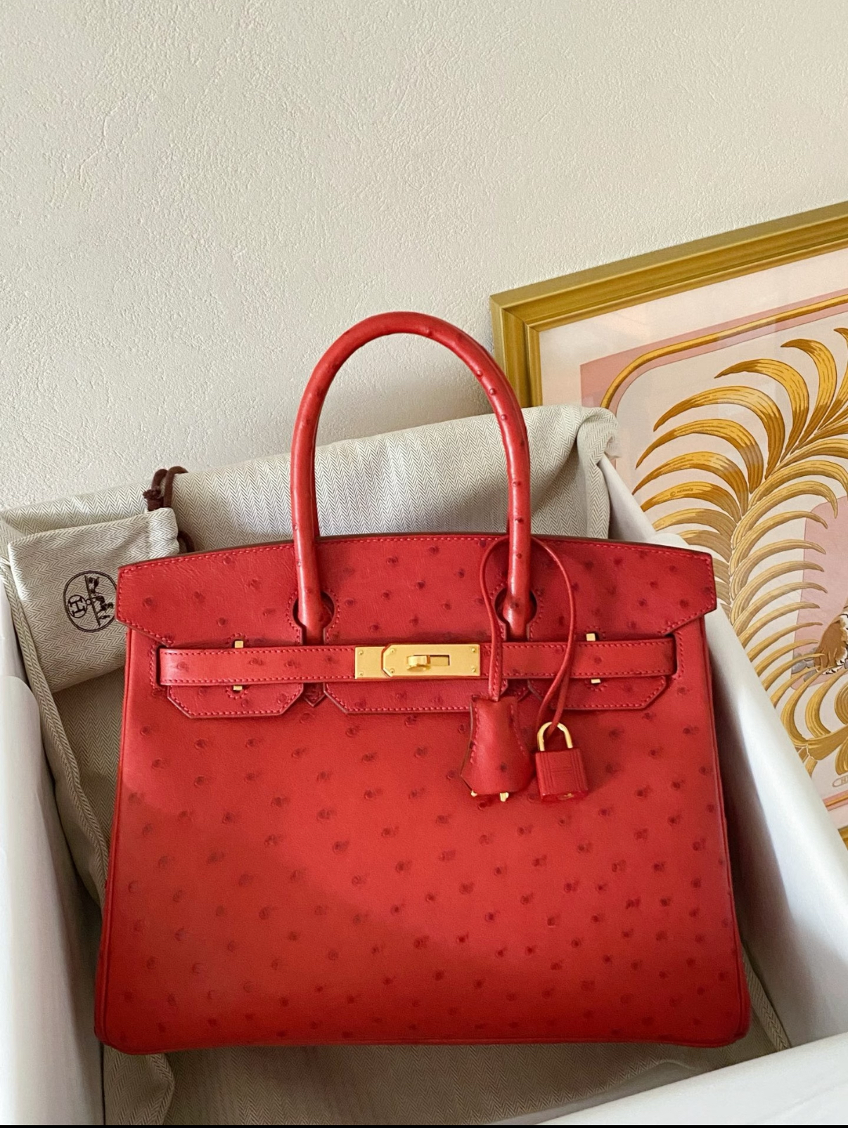 Birkin 25-35 gold buckle custom Ostrich leather - MOVEMENTARTISAN