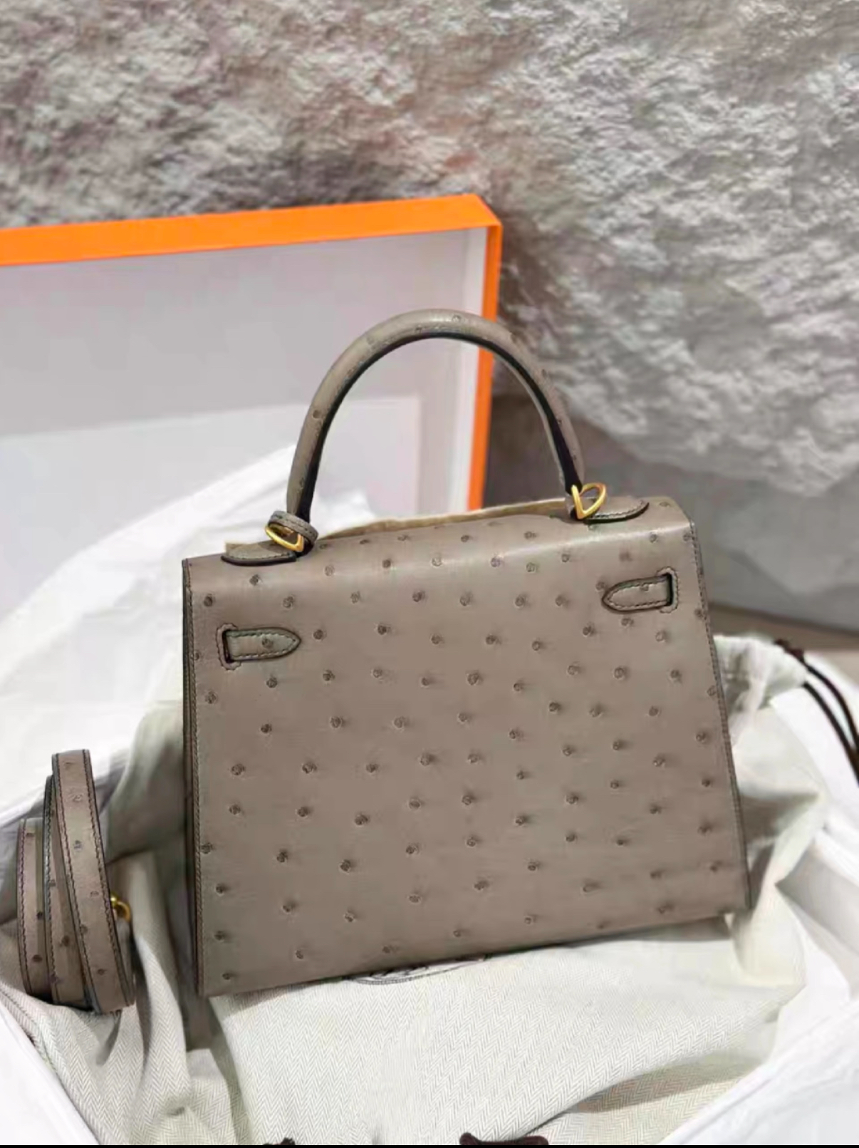 Kelly 25-28 Galaxy Grey gold buckle ostrich leather - MOVEMENTARTISAN