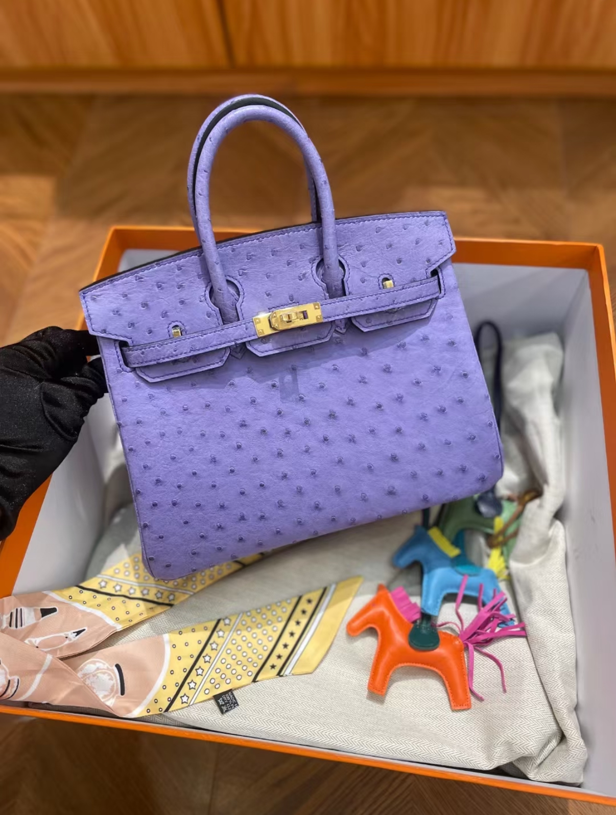 birkin 25-30 Lavender Ostrich Leather Custom - MOVEMENTARTISAN