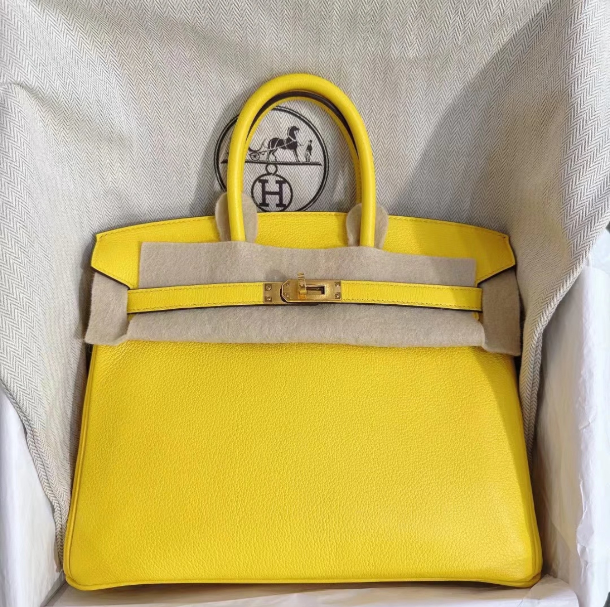 Bikrin 25-35 Naples Yellow Gold Buckle Customization - MOVEMENTARTISAN