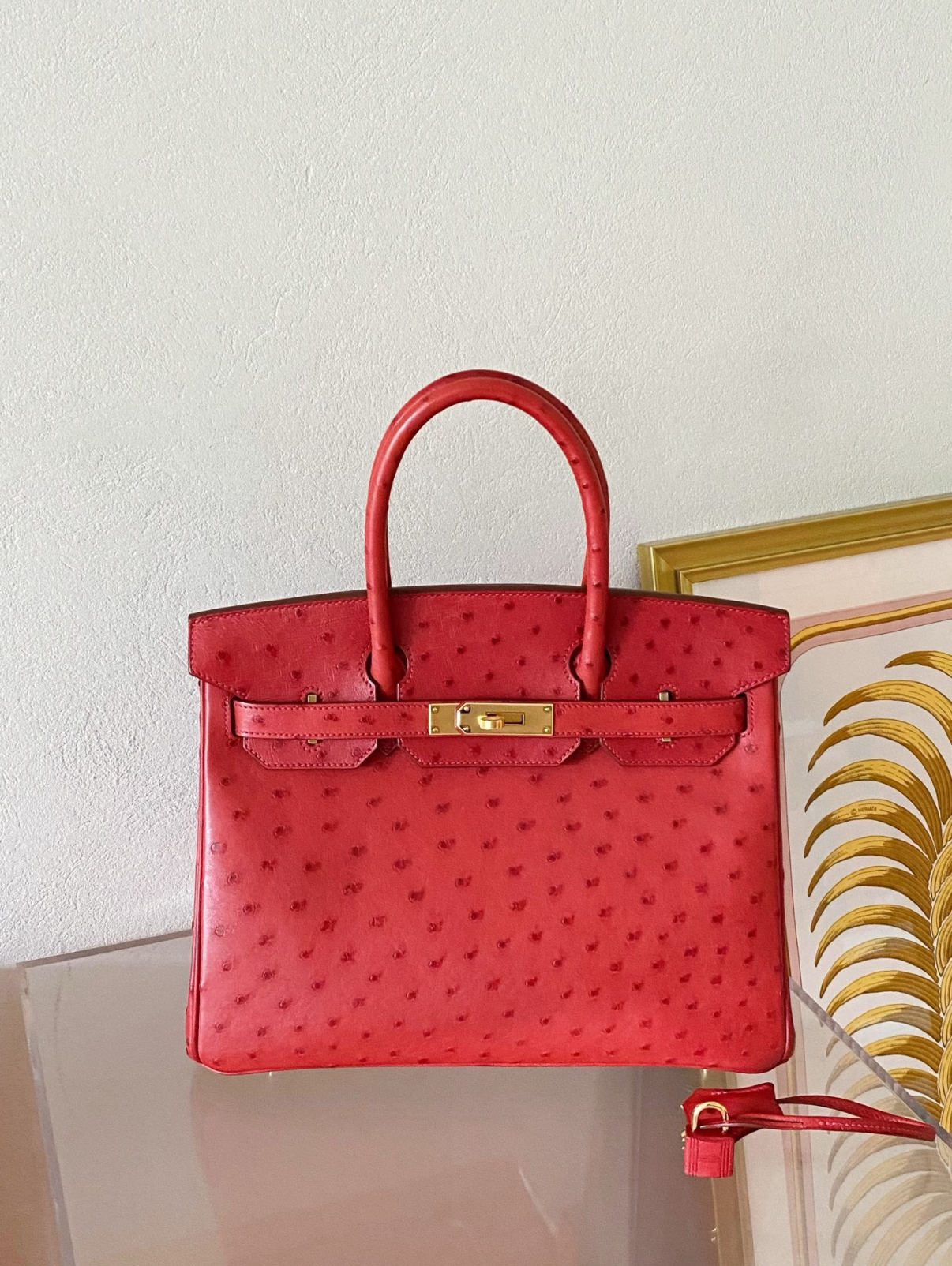 Birkin 25-35 gold buckle custom Ostrich leather - MOVEMENTARTISAN