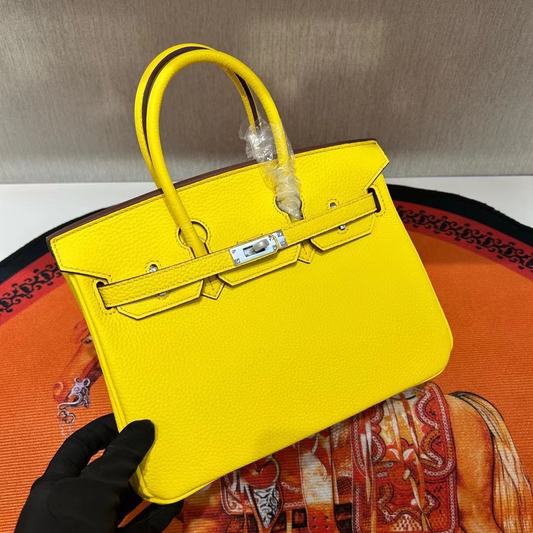 Birkin  25-30 TOGO - MOVEMENTARTISAN