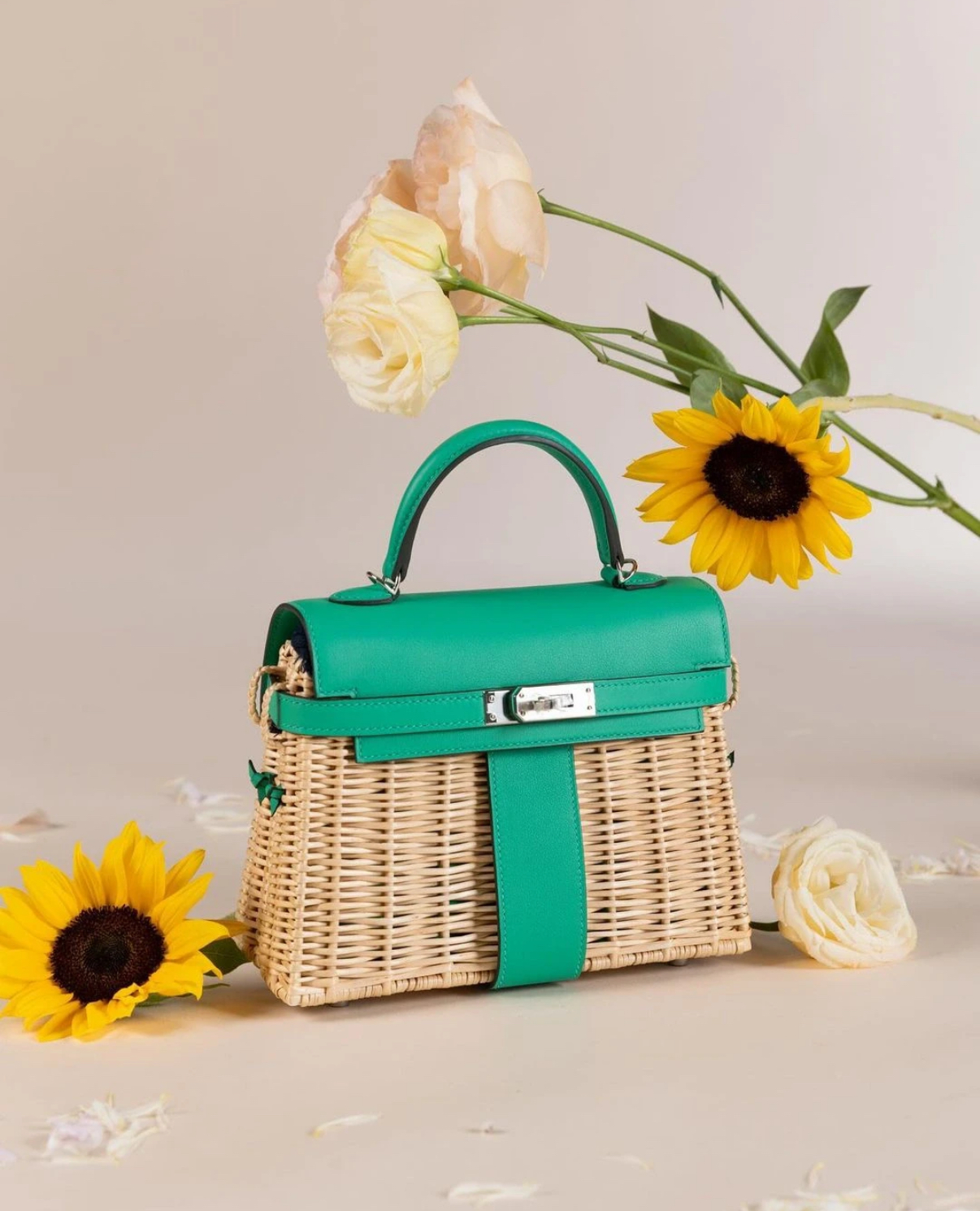 Picnic Sellier Birkin 25 Framboise Swift Palladium Hardware - MOVEMENTARTISAN