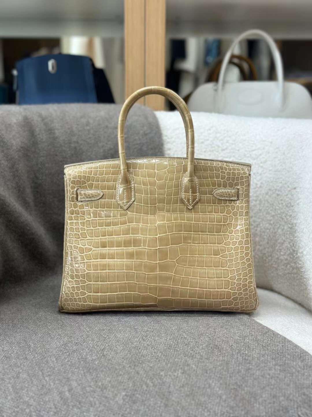 beige silver buckle shiny inverted V crocodile birkin 25-30CM - MOVEMENTARTISAN