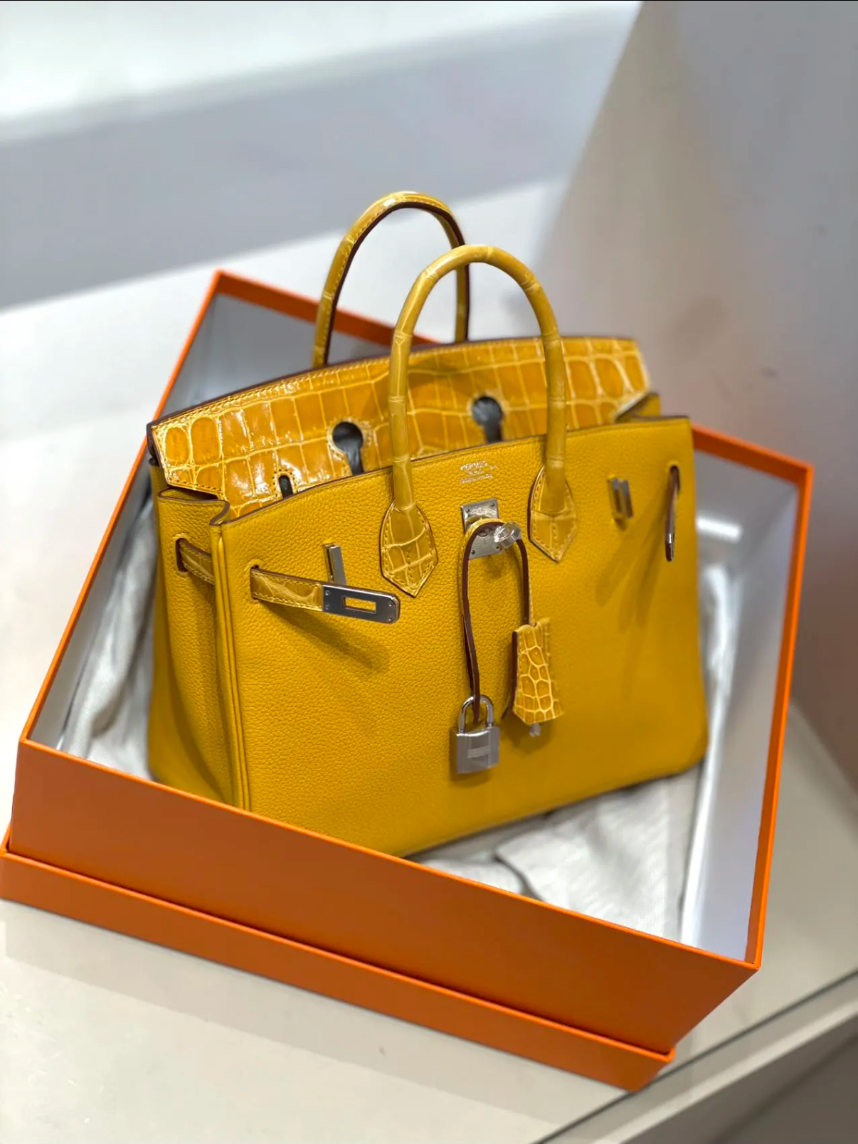 Birkin 25-30 Touch with amber silver buckle, Nile crocodile leather TOGO leather - MOVEMENTARTISAN