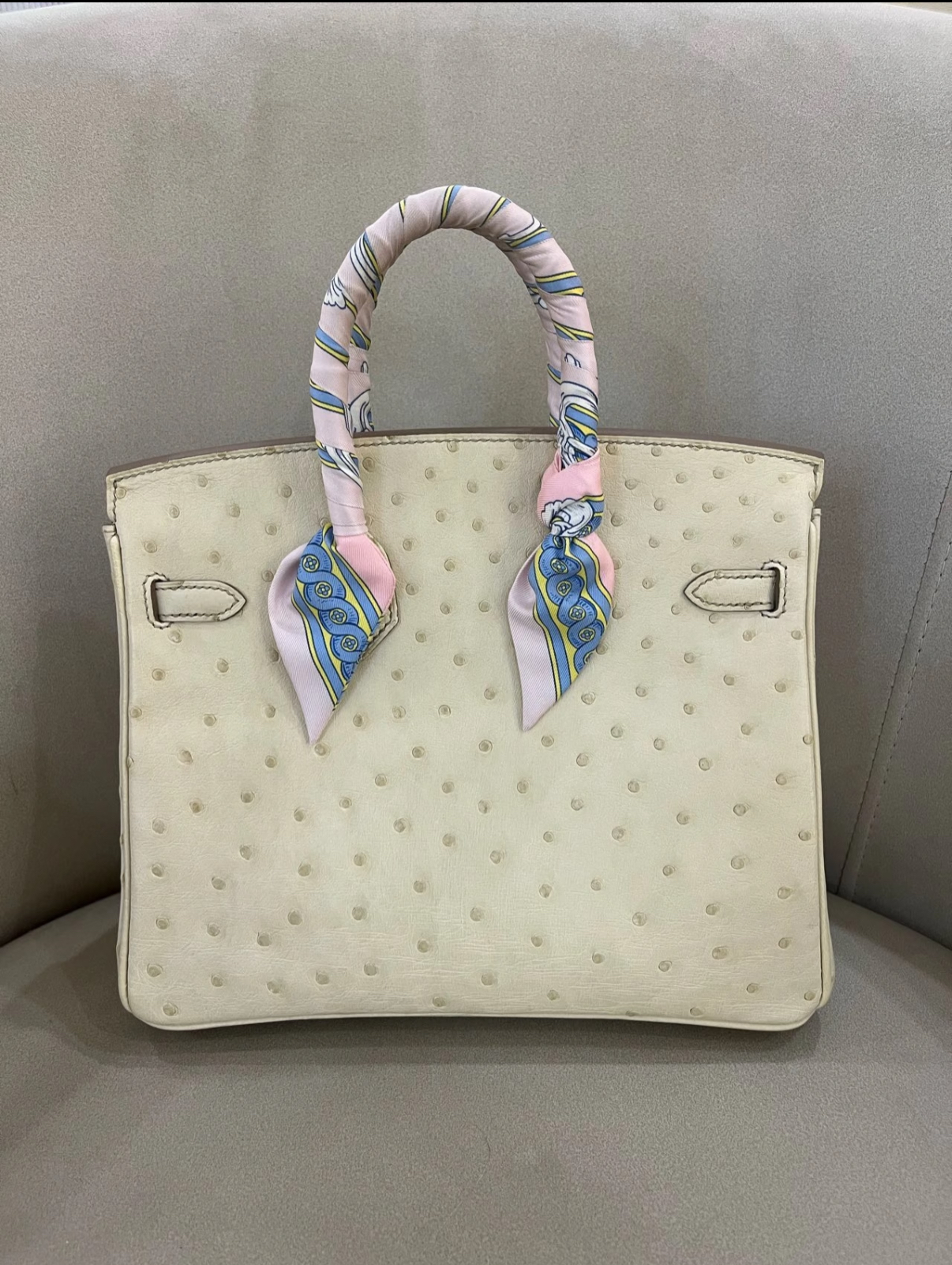 Birkin 25-30 Cream Ostrich Leather - MOVEMENTARTISAN