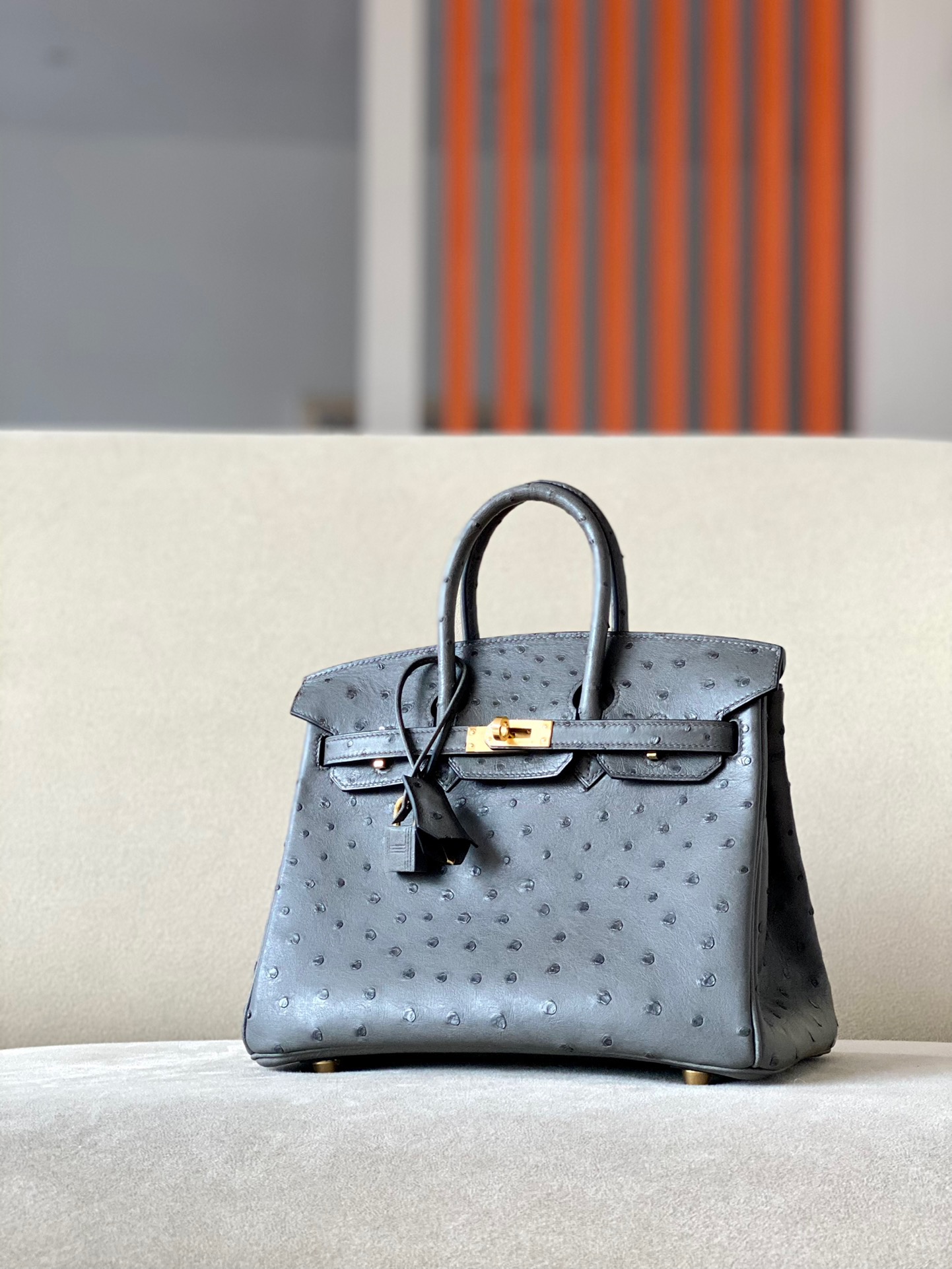 Advanced customization Birkin 25-30 Ostrich skin - MOVEMENTARTISAN