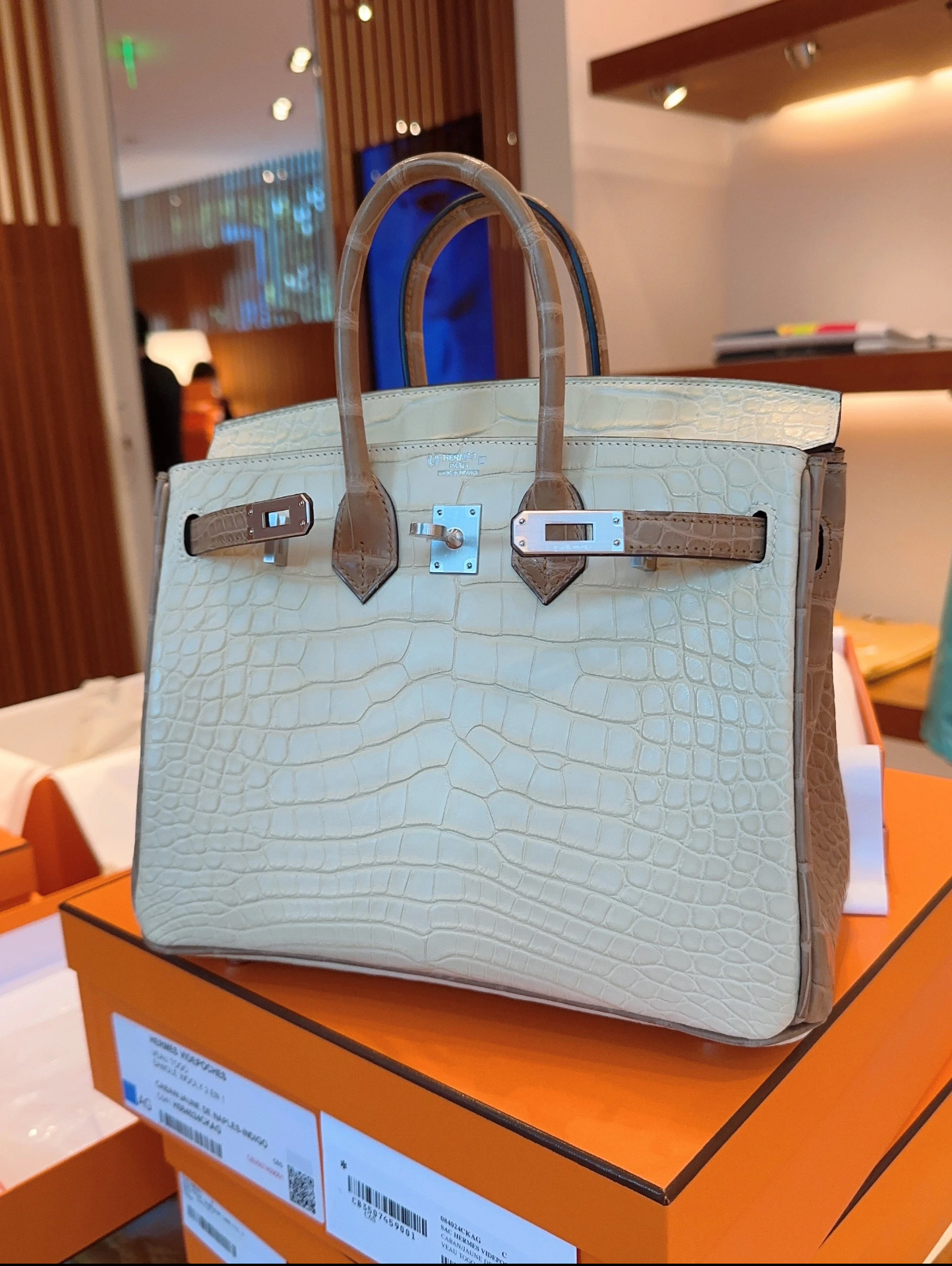 Birkin 25-35 crocodile and ostrich leather accents silver hardware custom - MOVEMENTARTISAN