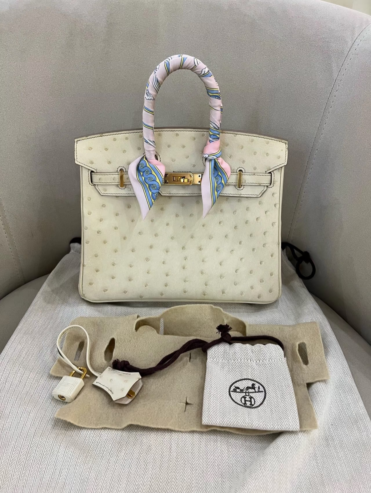 Birkin 25-30 Cream Ostrich Leather - MOVEMENTARTISAN