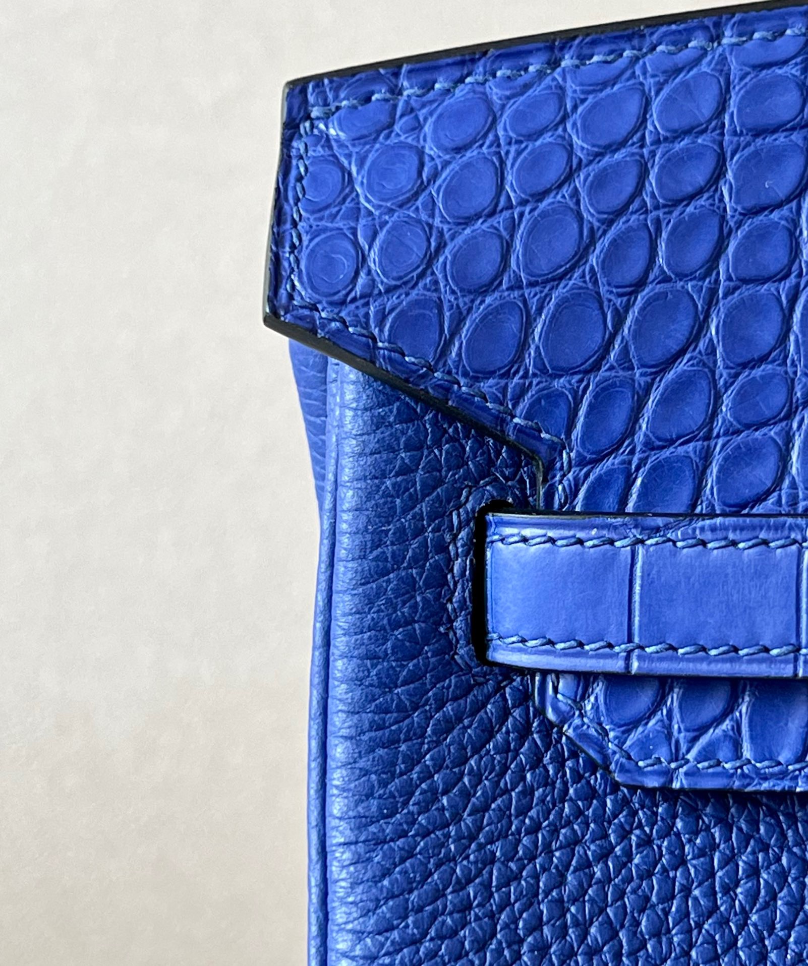 Advanced customization Birkin 25 crocodile skin - MOVEMENTARTISAN