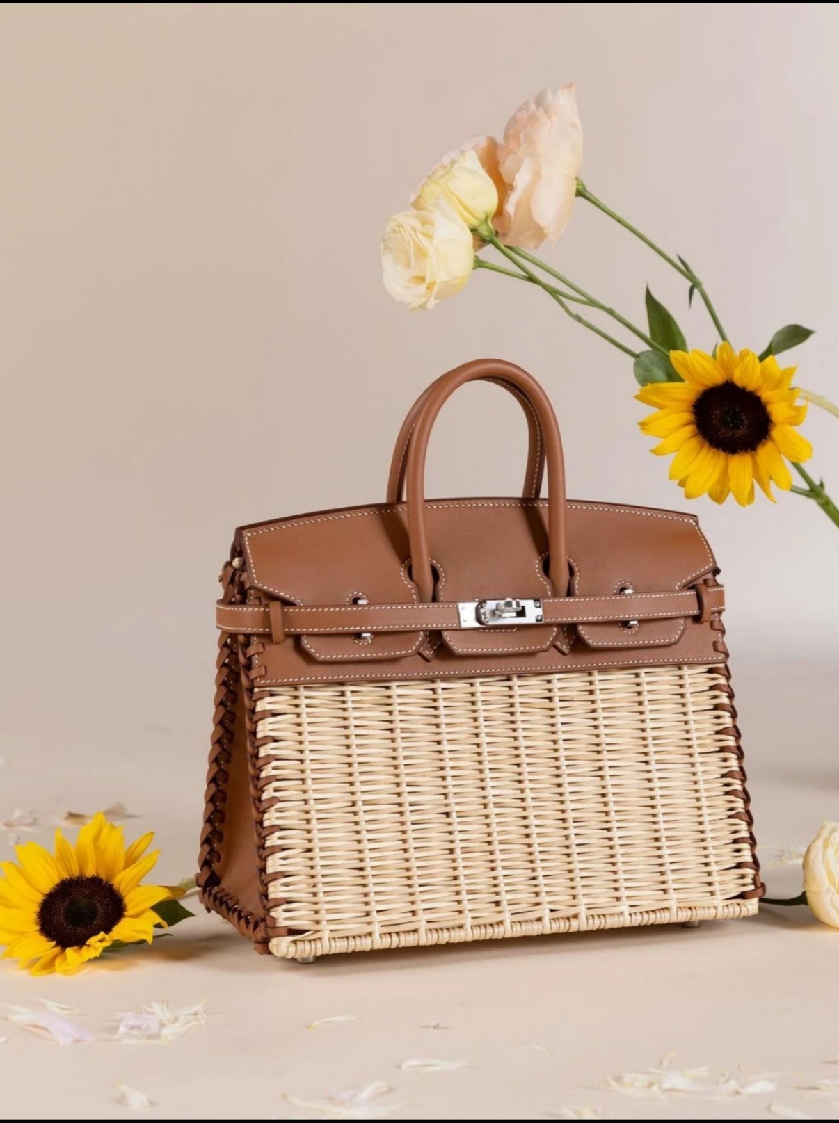 Picnic Sellier Birkin 25 Framboise Swift Palladium Hardware - MOVEMENTARTISAN