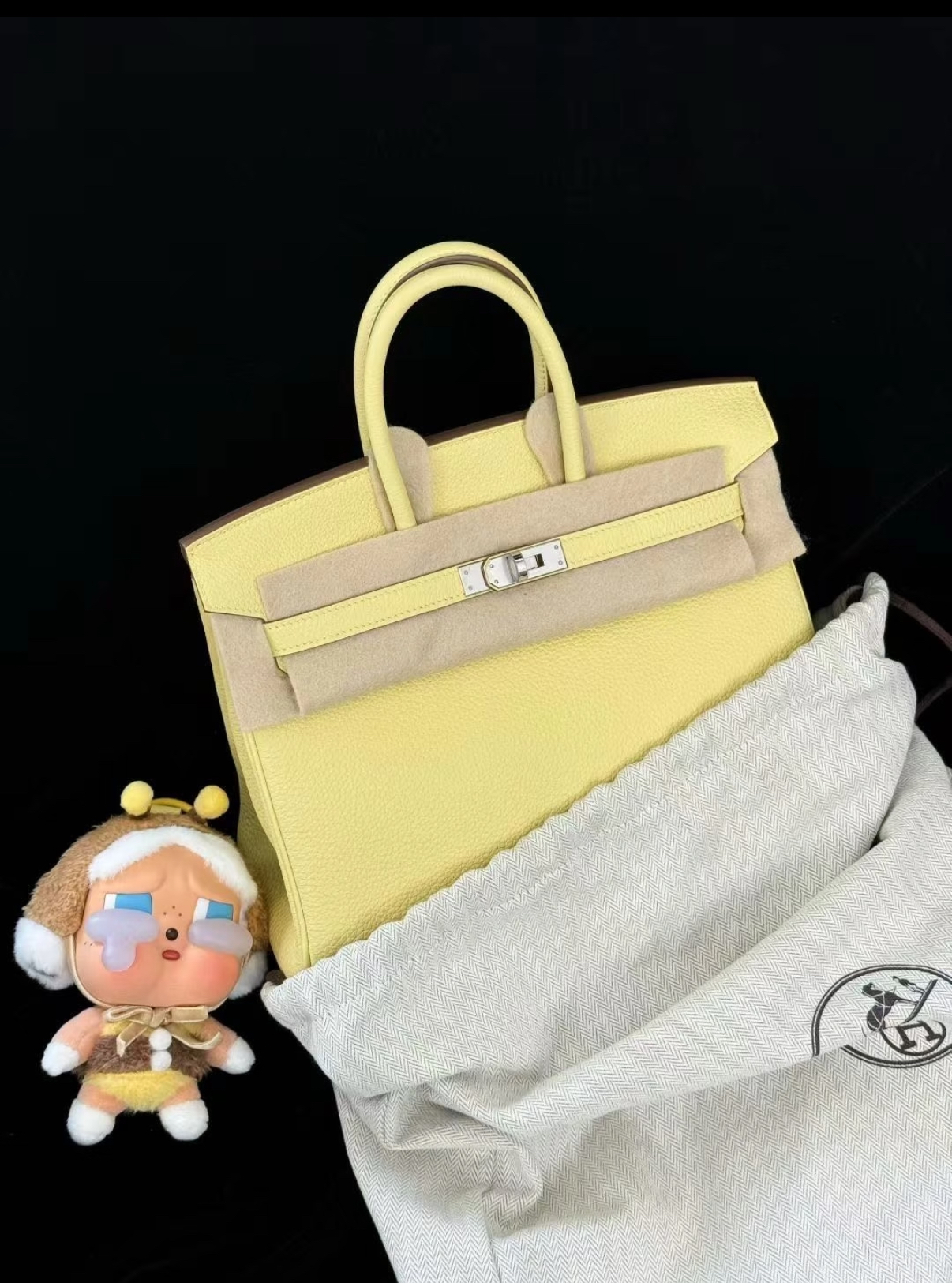 Birkin 25-30 Jaune Poulet EPSON custom - MOVEMENTARTISAN