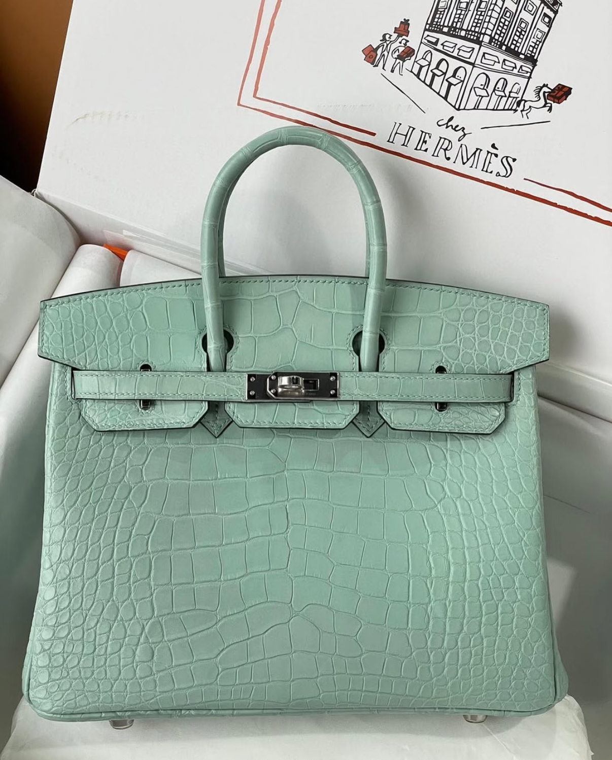 Birkin 25-30 mint green matte crocodile leather - MOVEMENTARTISAN